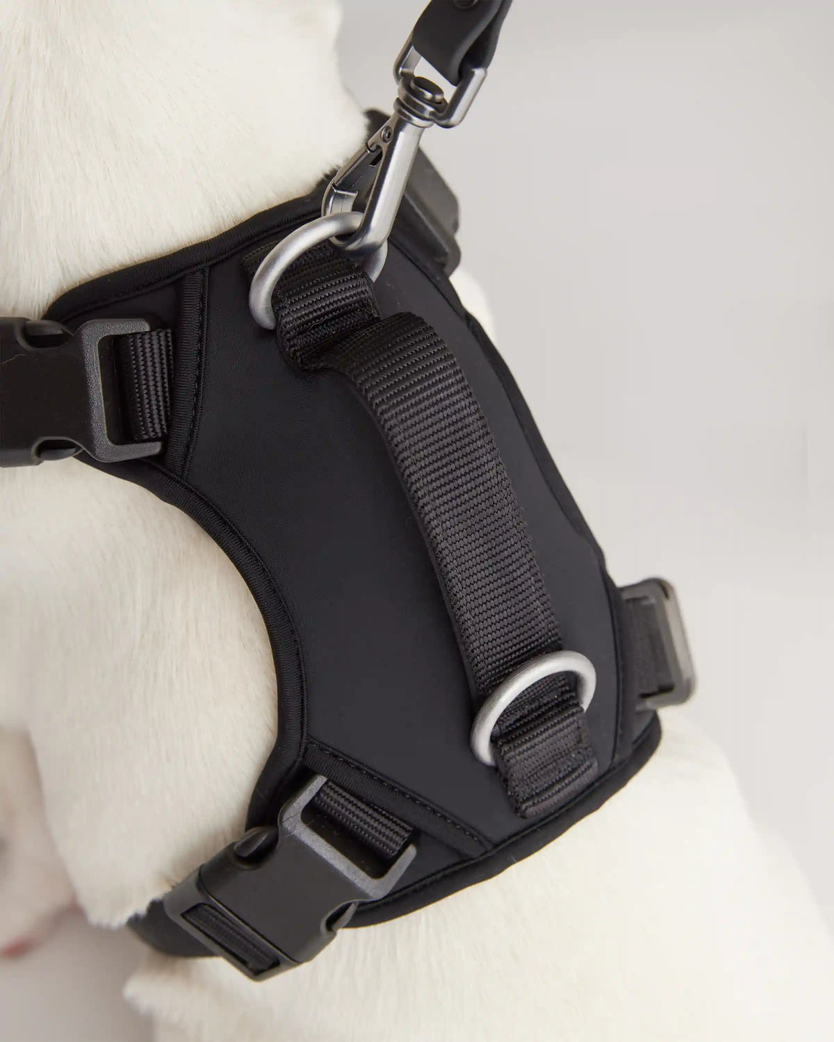 Neoprene Double Panel Dog Harness