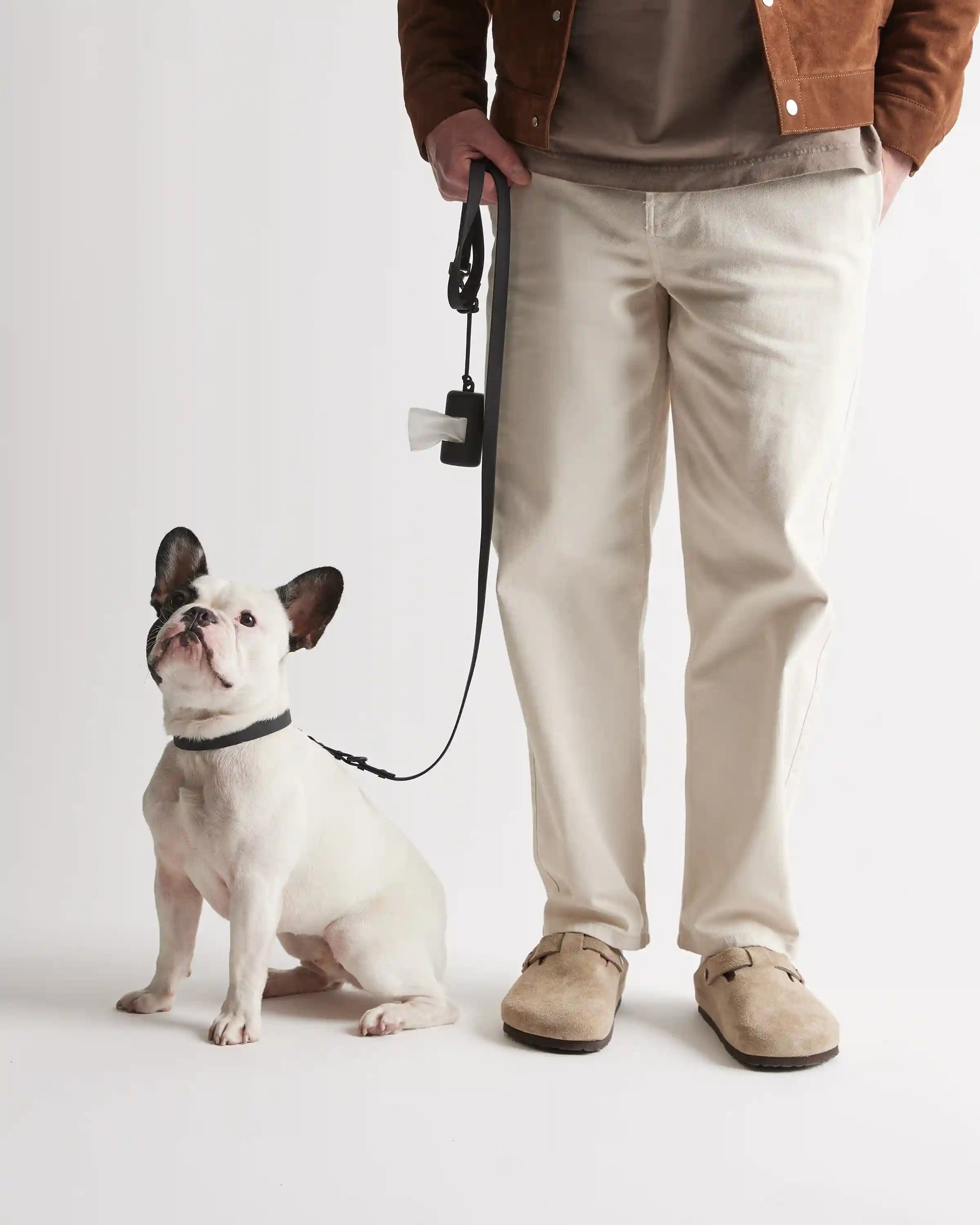 Dog Collar Walk Kit
