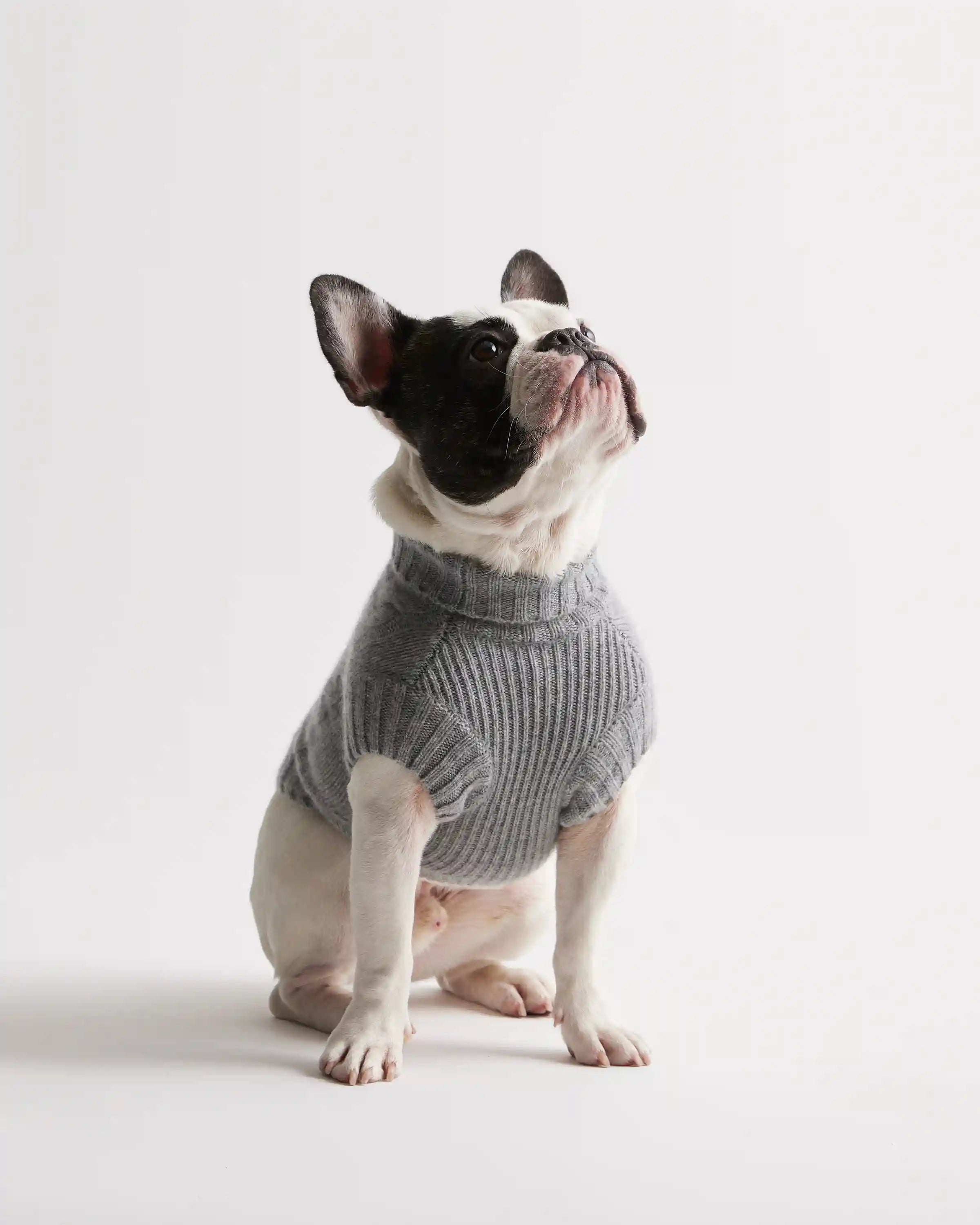 Mongolian Cashmere Cable Knit Dog Sweater