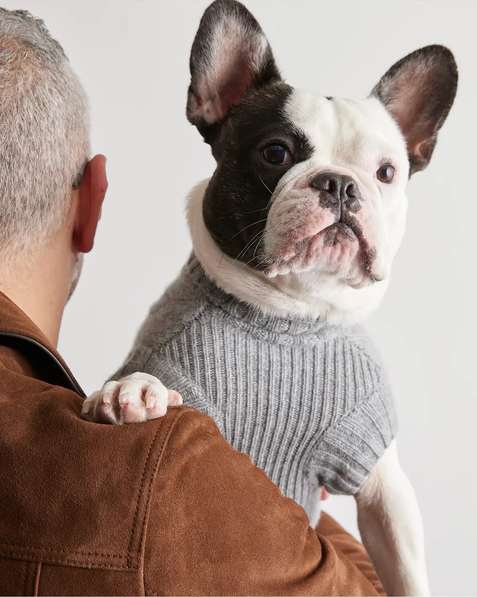Mongolian Cashmere Cable Knit Dog Sweater
