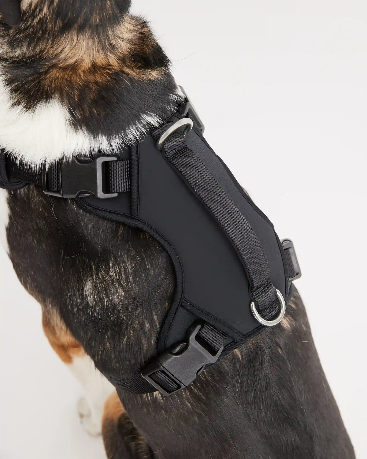 Neoprene Double Panel Dog Harness