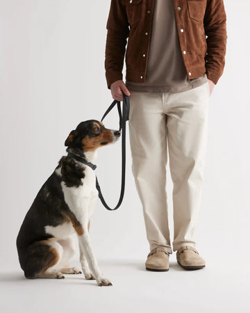 Flex-Poly Dog Leash