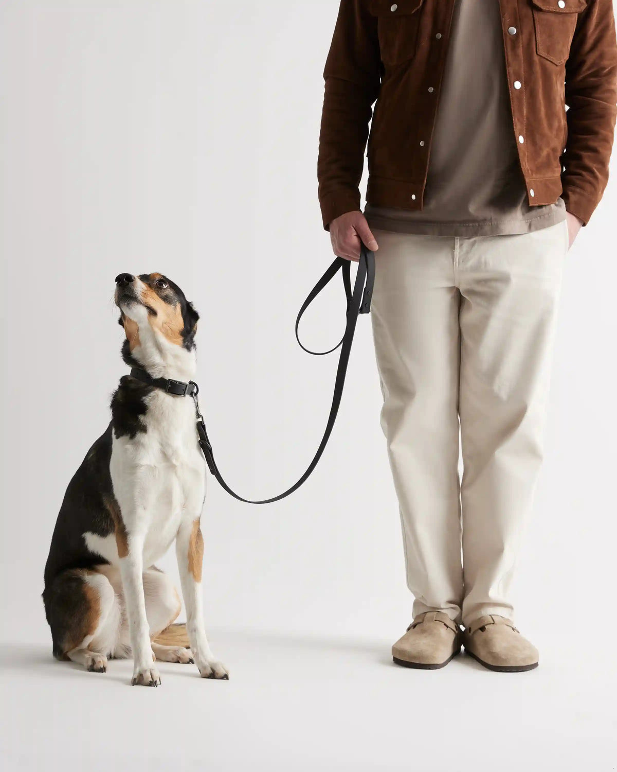 Dog Collar Walk Kit