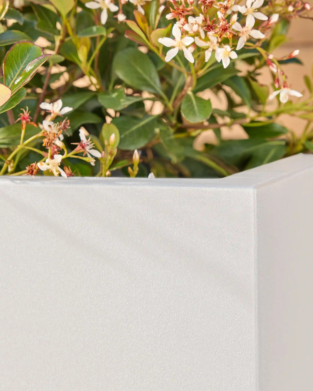 Block Series All Weather Rectangular Planter by Veradek