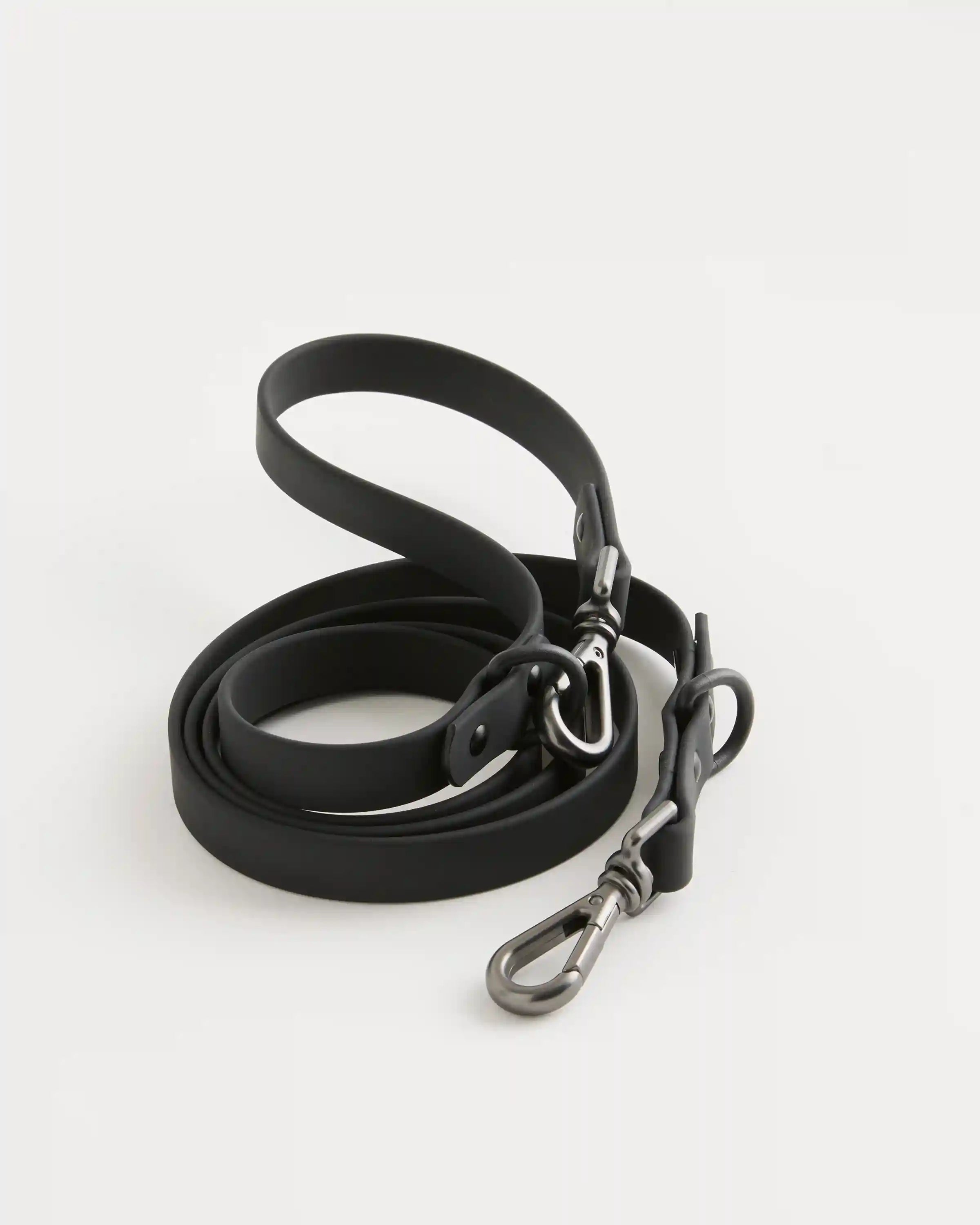 Dog Collar Walk Kit