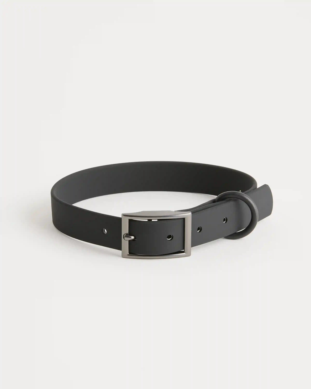Dog Collar Walk Kit