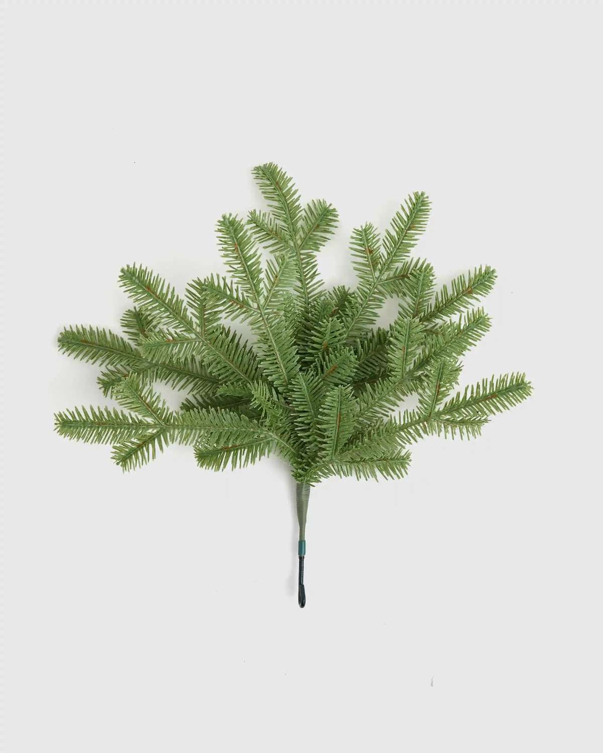 Fraser Fir Christmas Tree: Unlit