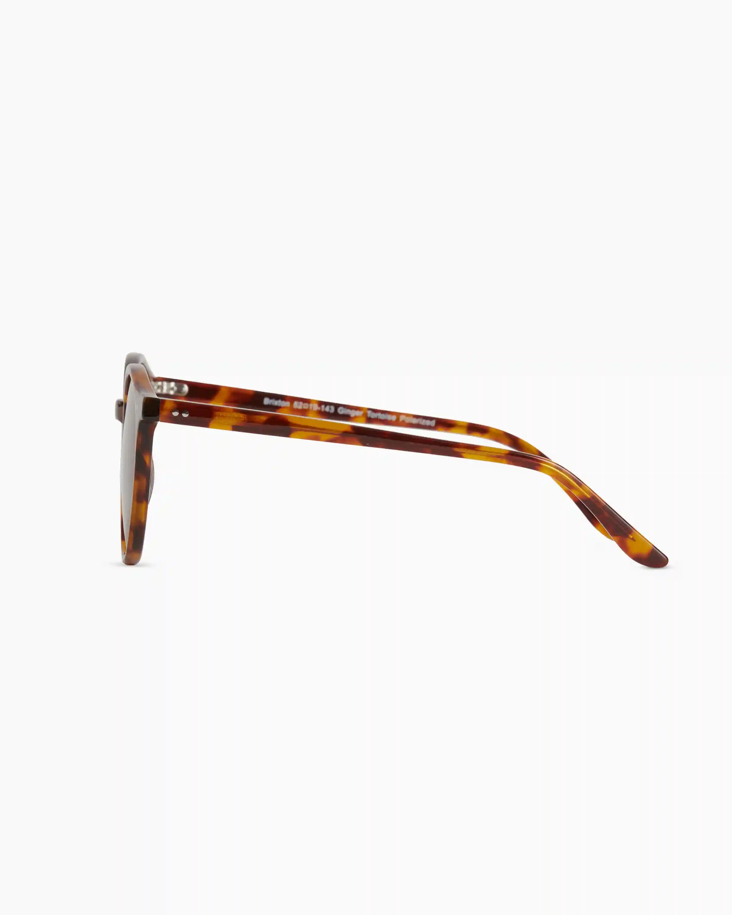 Brixton Polarized Acetate Sunglasses