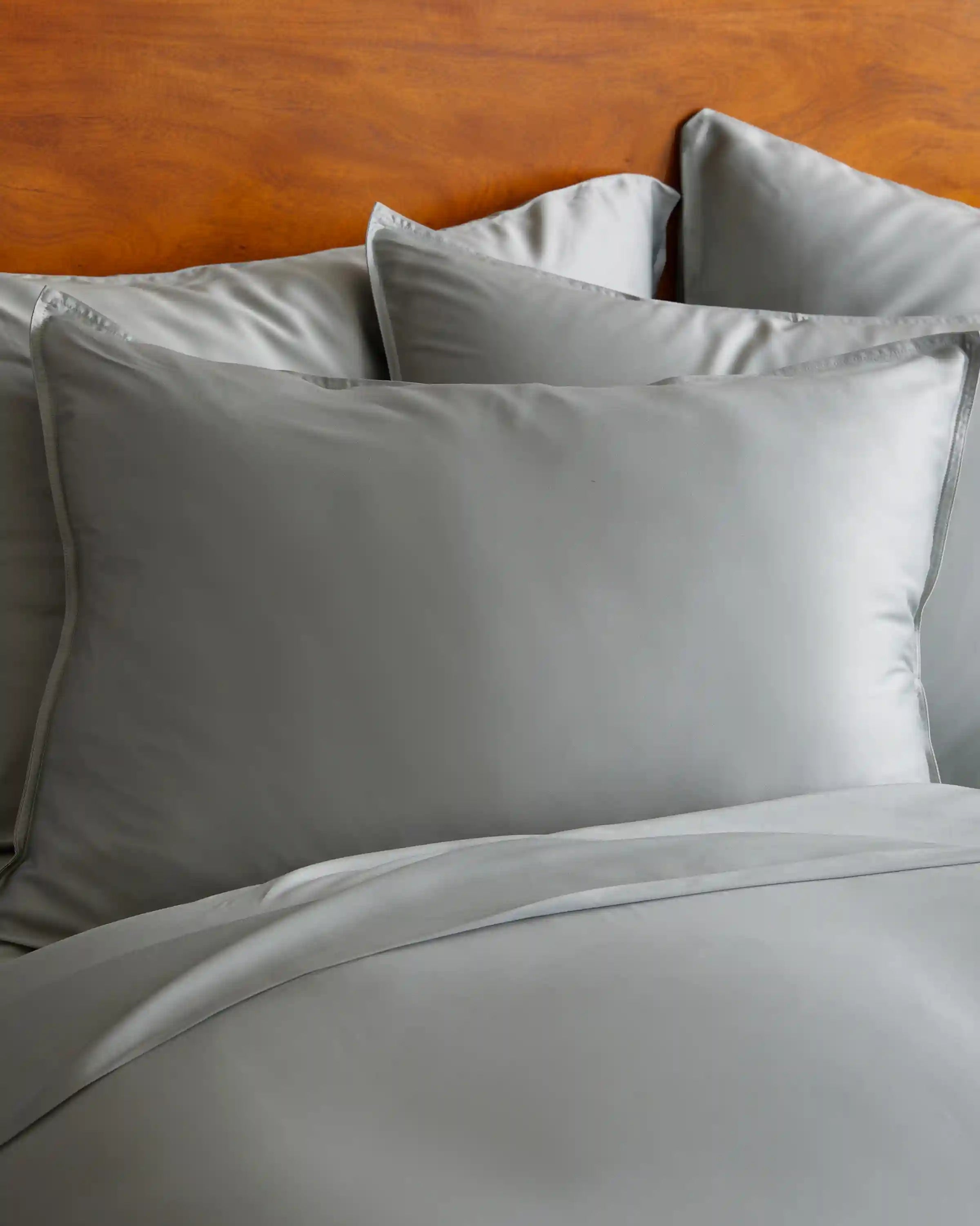 Bamboo Sham Set