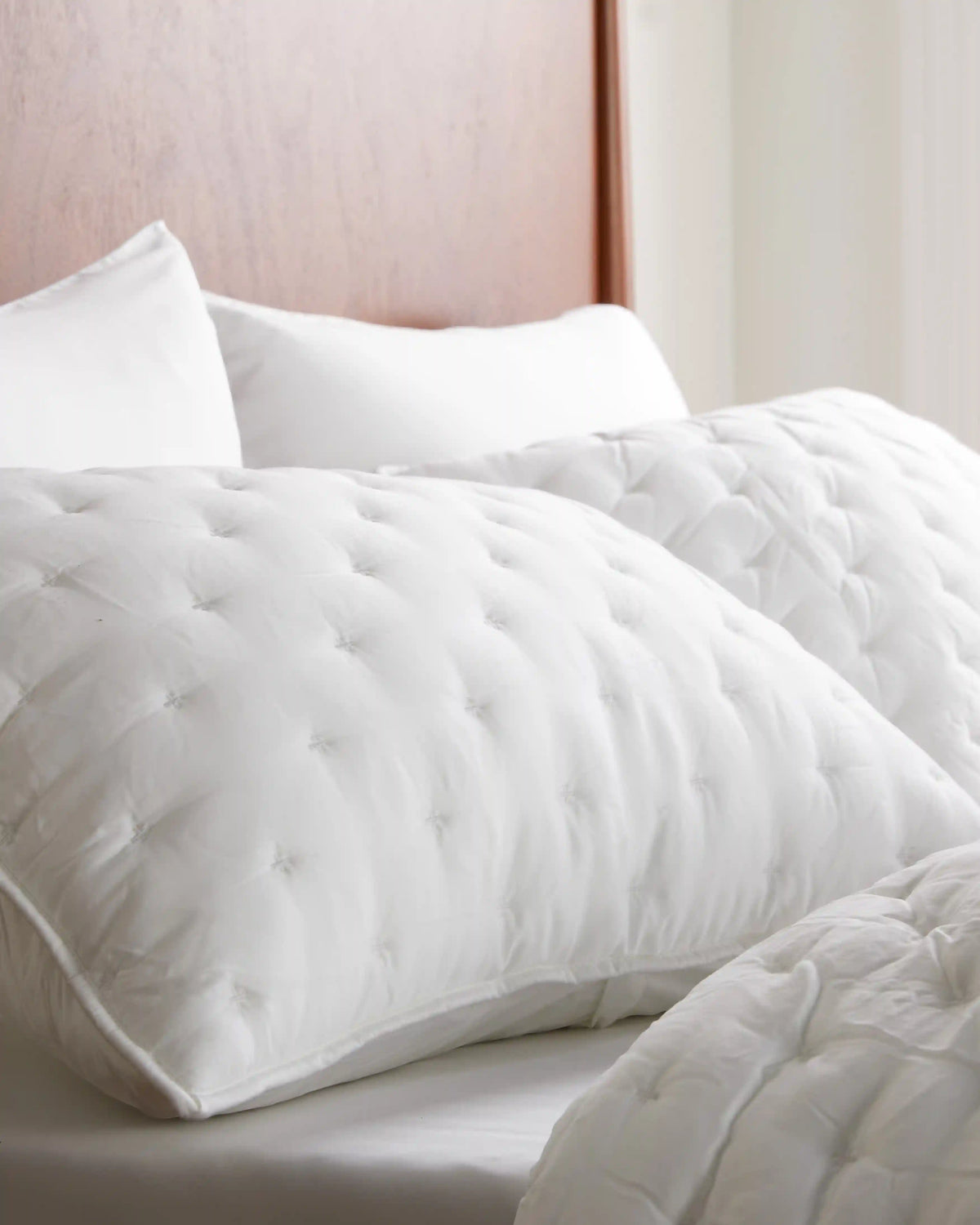 Bamboo Dream Quilted Sham Set