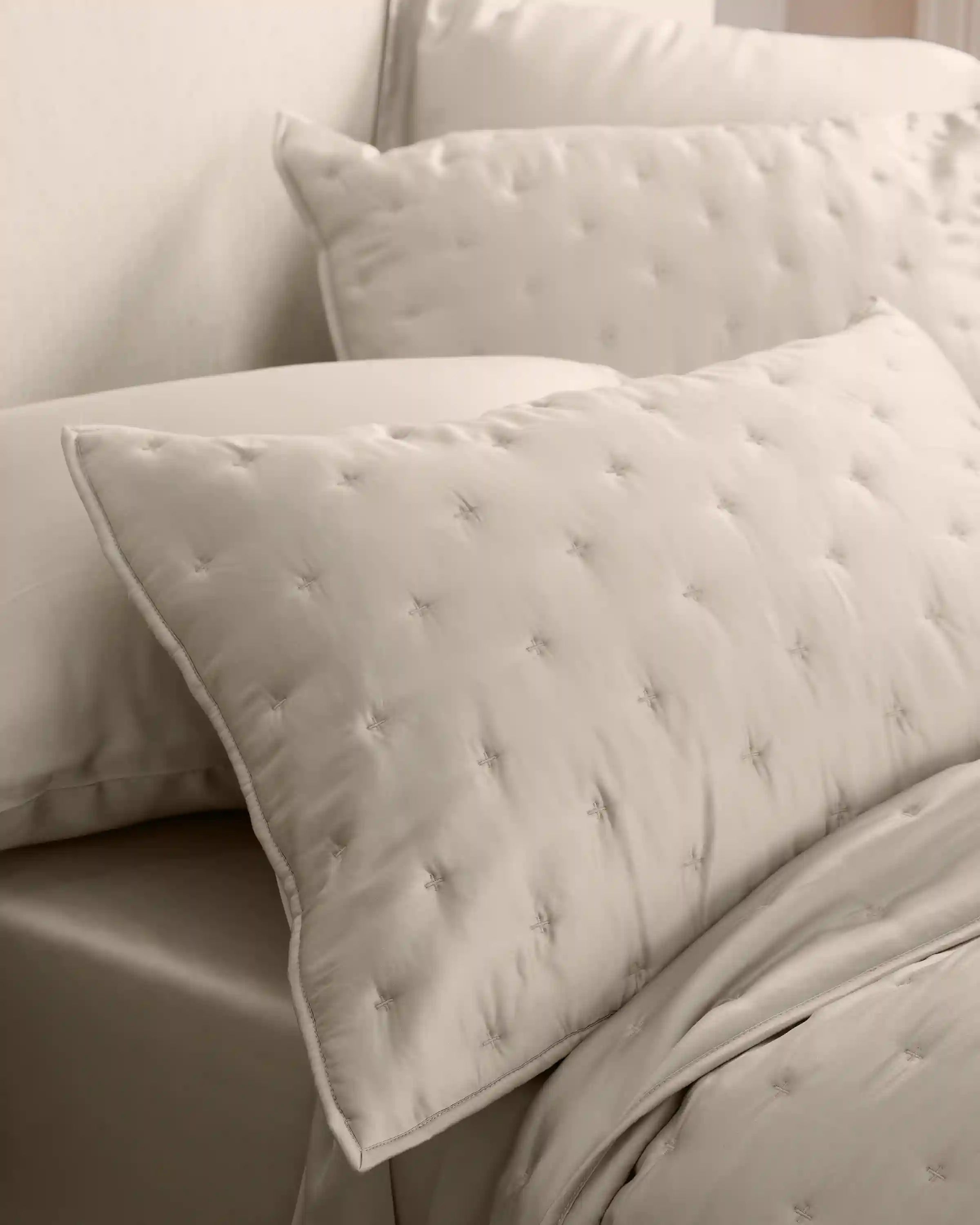 Bamboo Dream Quilted Sham Set