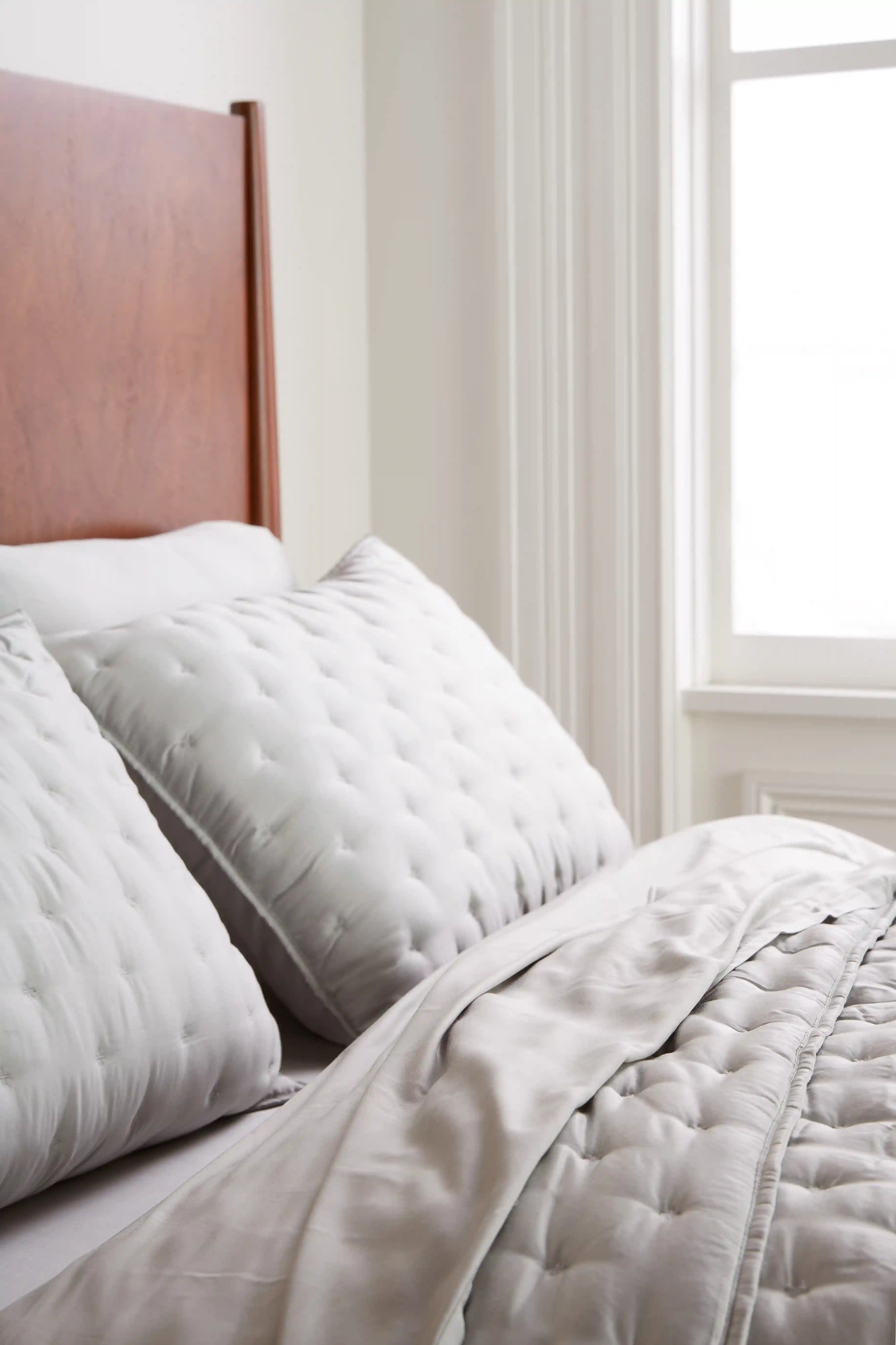 Bamboo Dream Quilted Sham Set