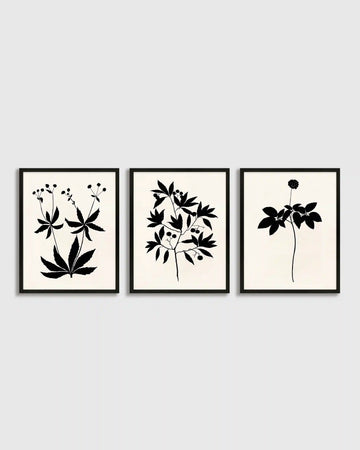 Botanical by Philippa Katz (Set of 3)