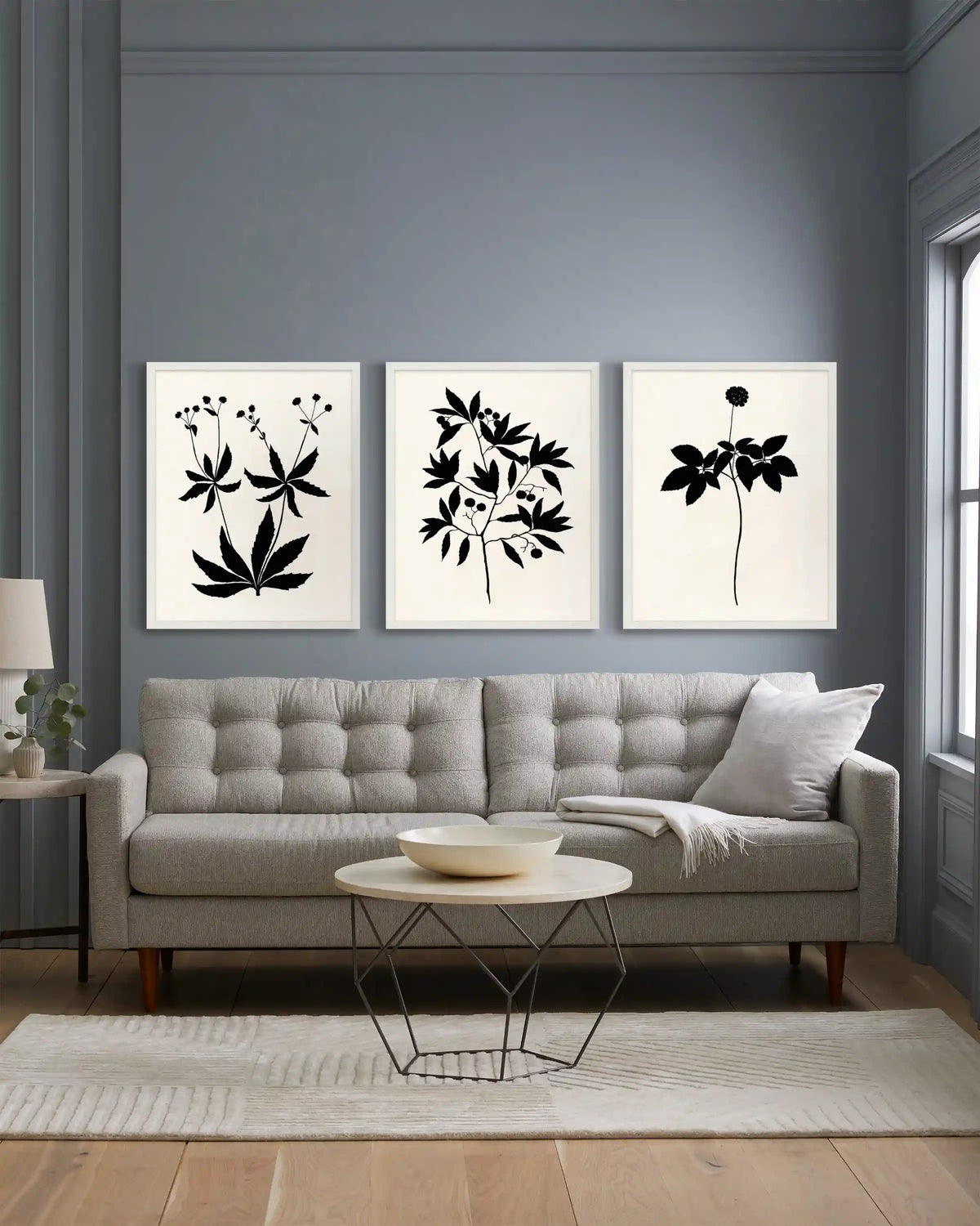 Botanical by Philippa Katz (Set of 3)
