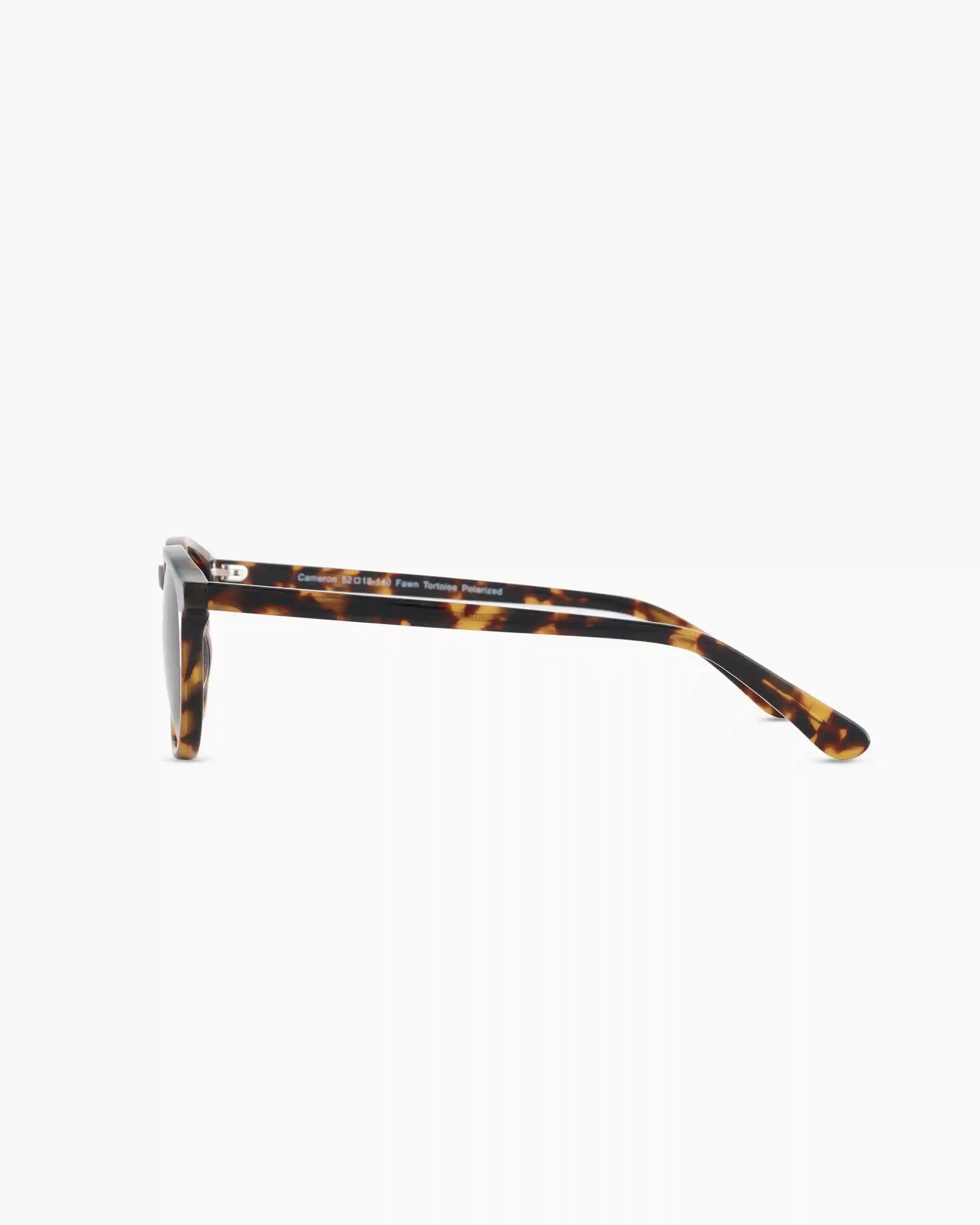 Cameron Polarized Acetate Sunglasses