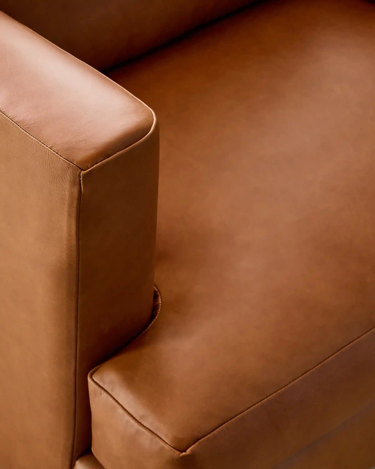 Sierra Curved Arm Accent Chair in Leather