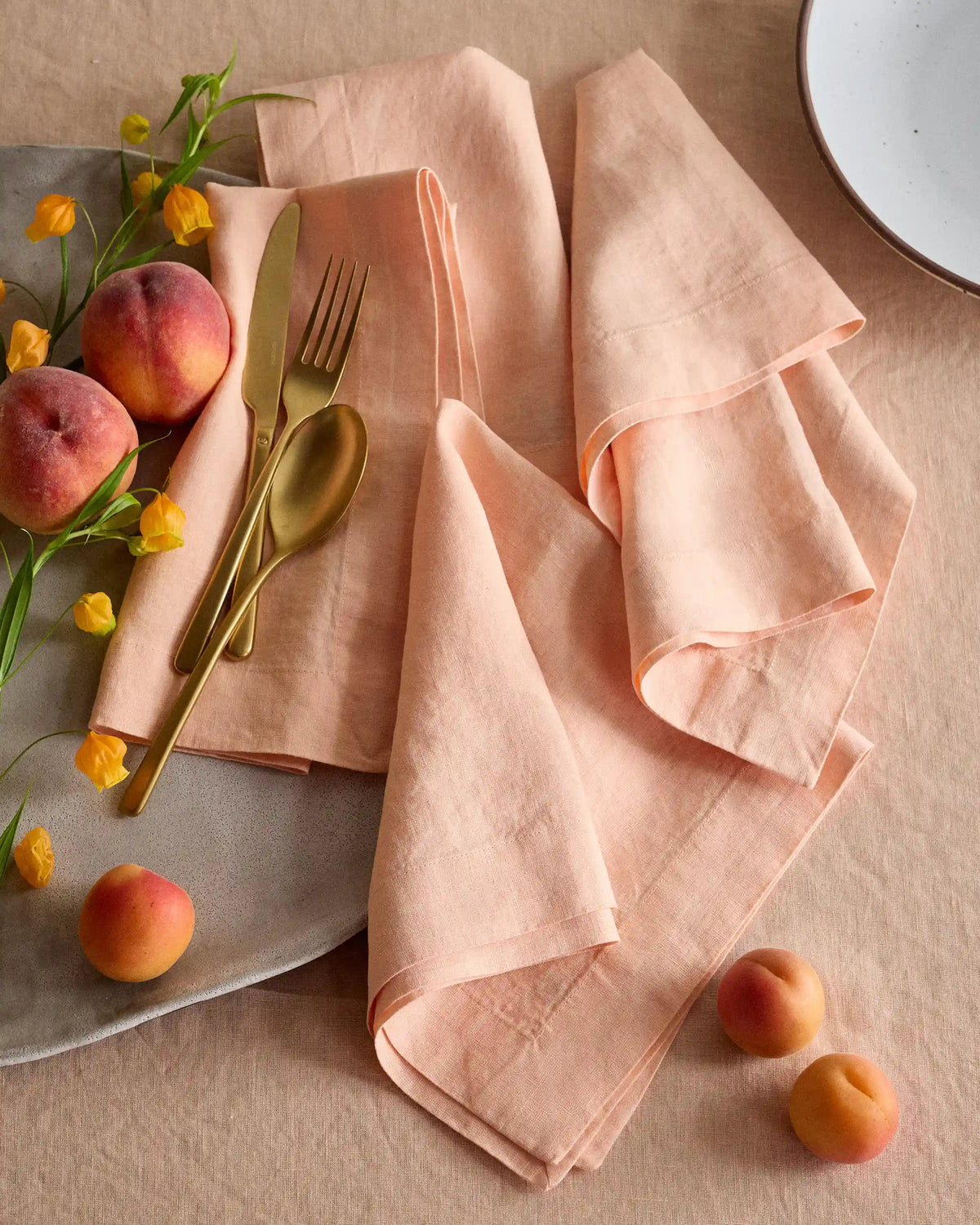 European Linen Wide-Hem Napkins, Set of 12
