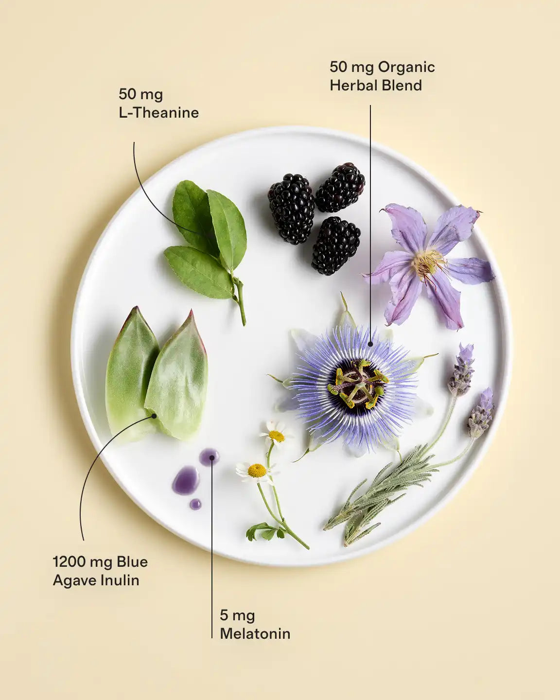 Everyday Liquid Multivitamin