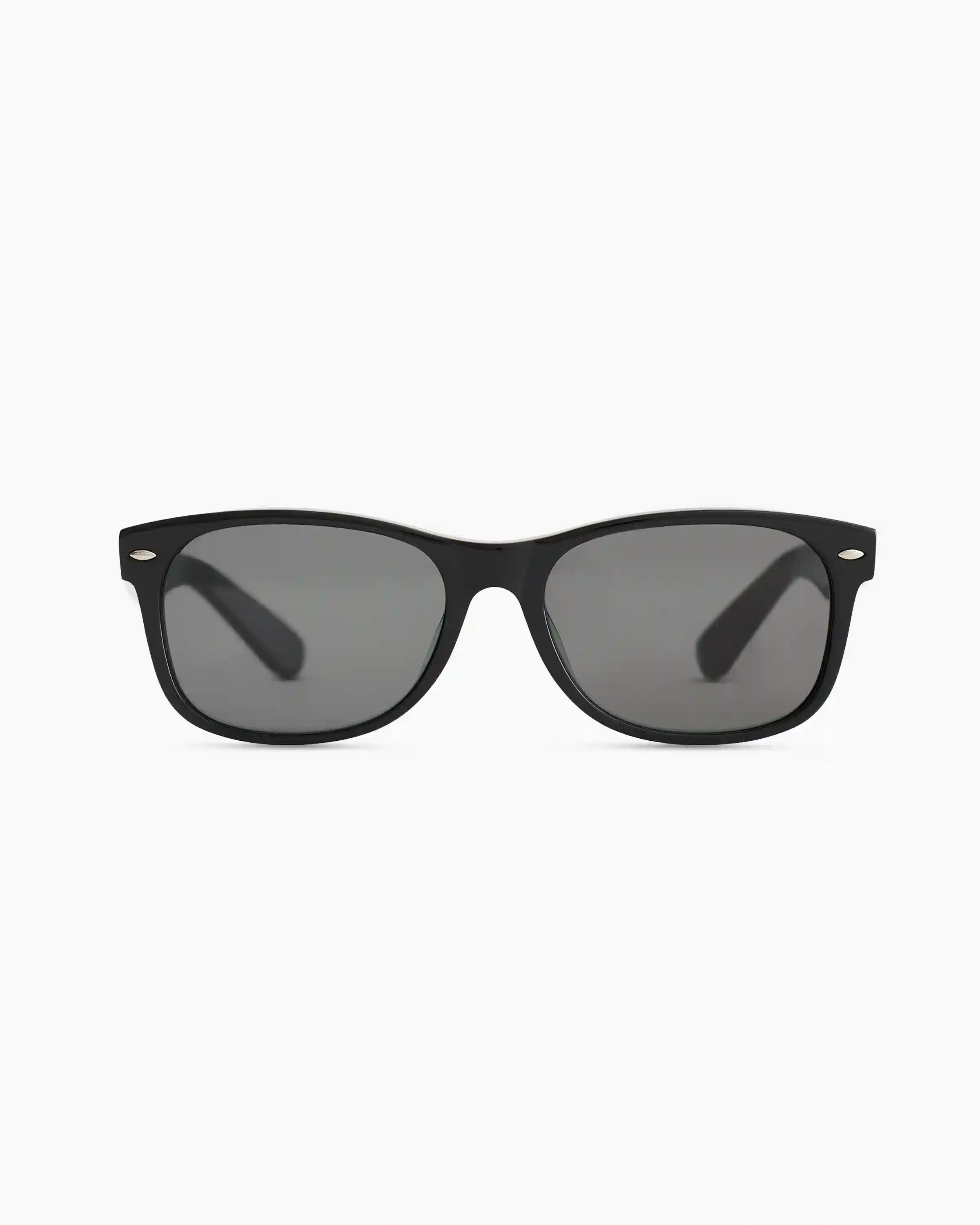 Hayden Polarized Acetate Sunglasses