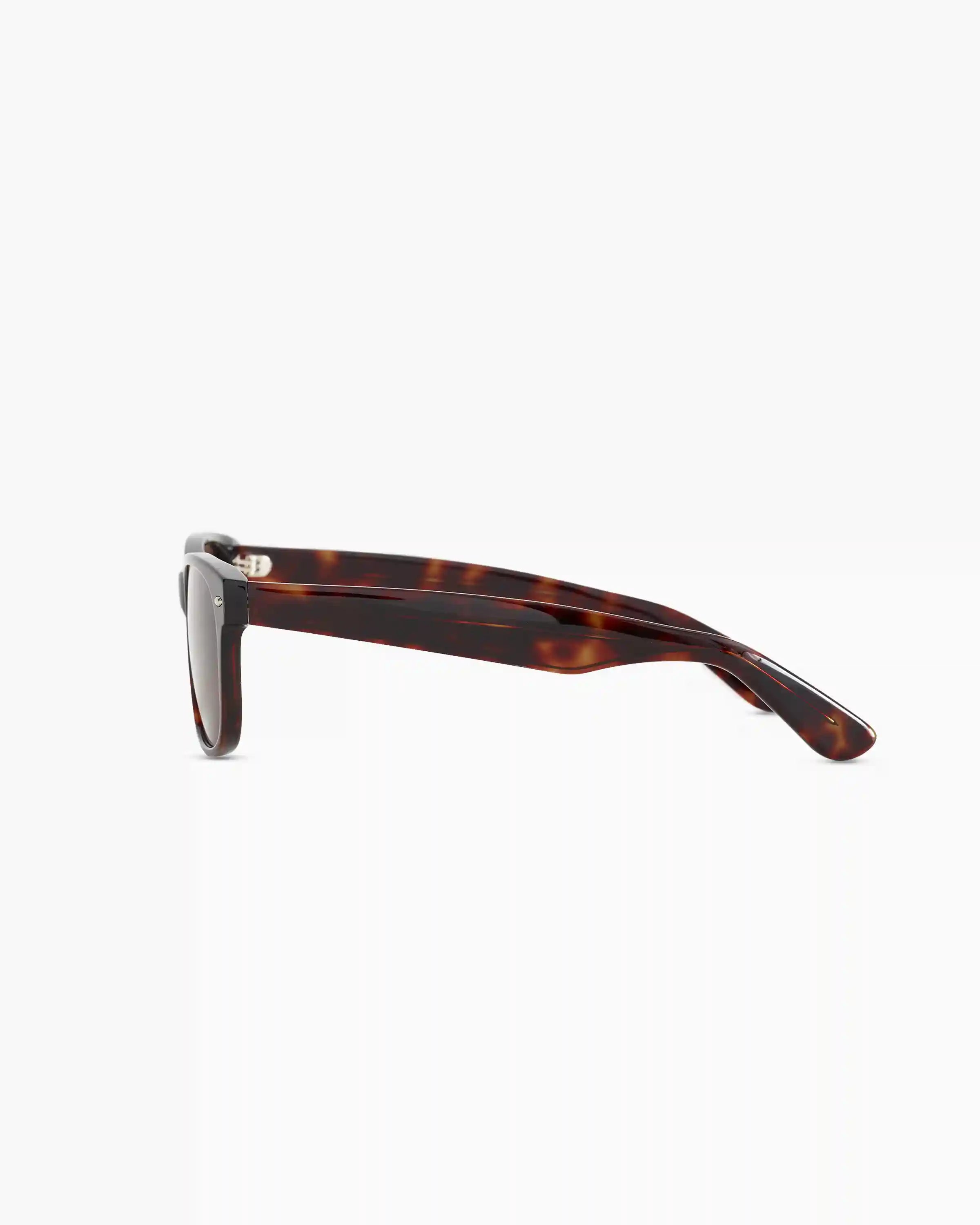 Hayden Polarized Acetate Sunglasses