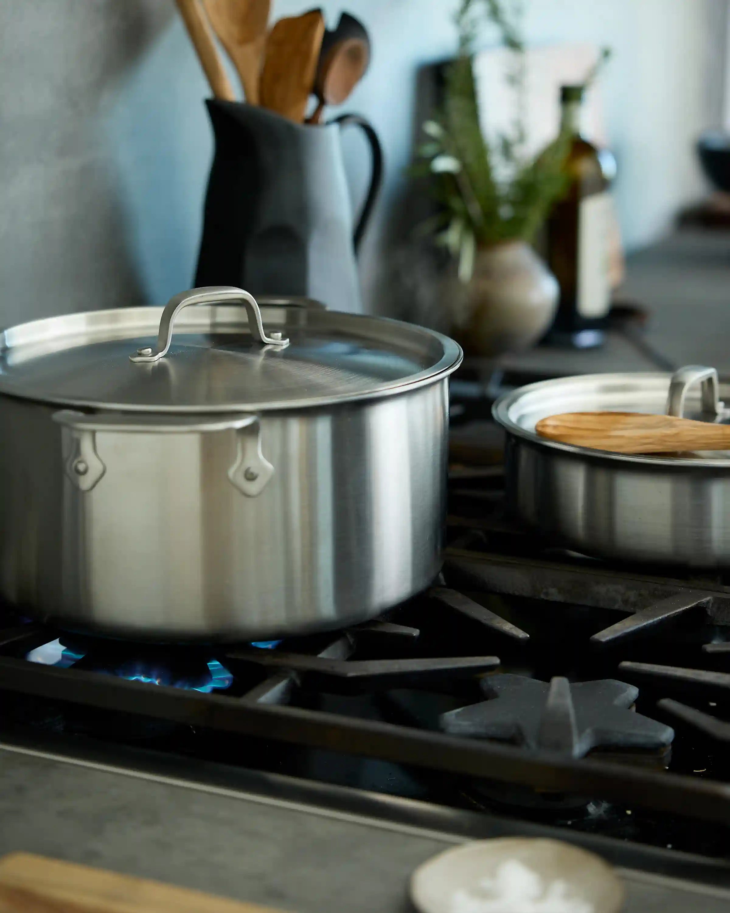 5-Ply Stainless Steel 8 Quart Stockpot