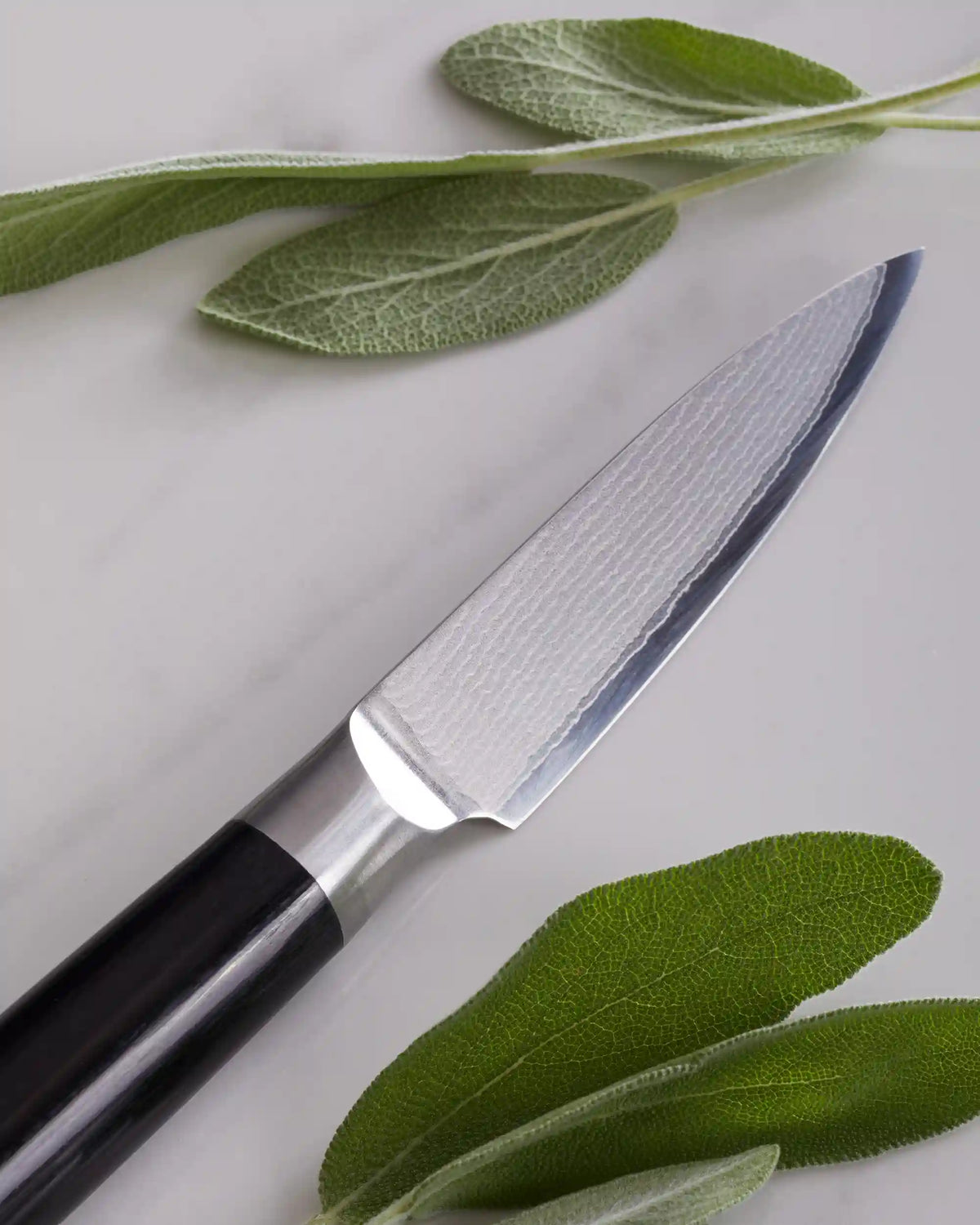 Essential Japanese Damascus Steel Knife Set