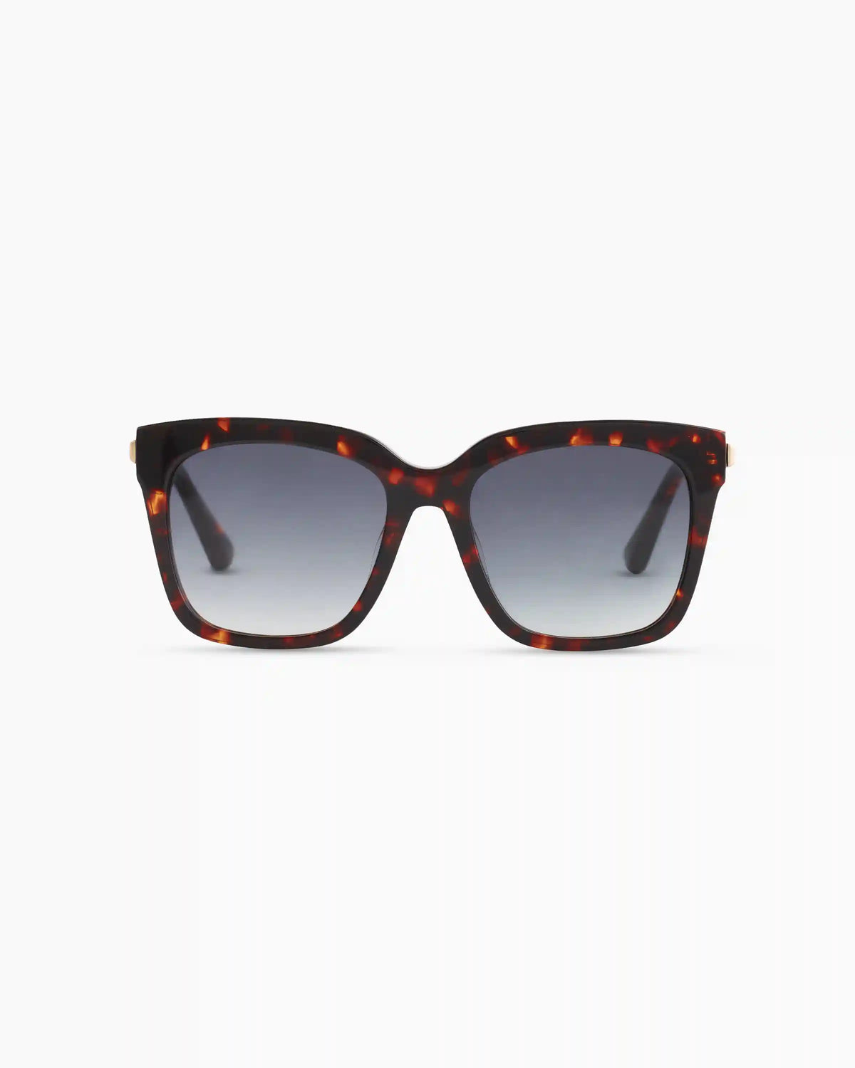 Luca Polarized Acetate Sunglasses