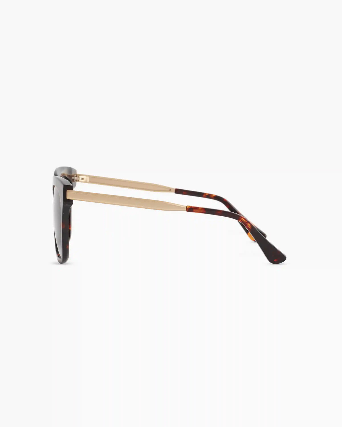 Luca Polarized Acetate Sunglasses