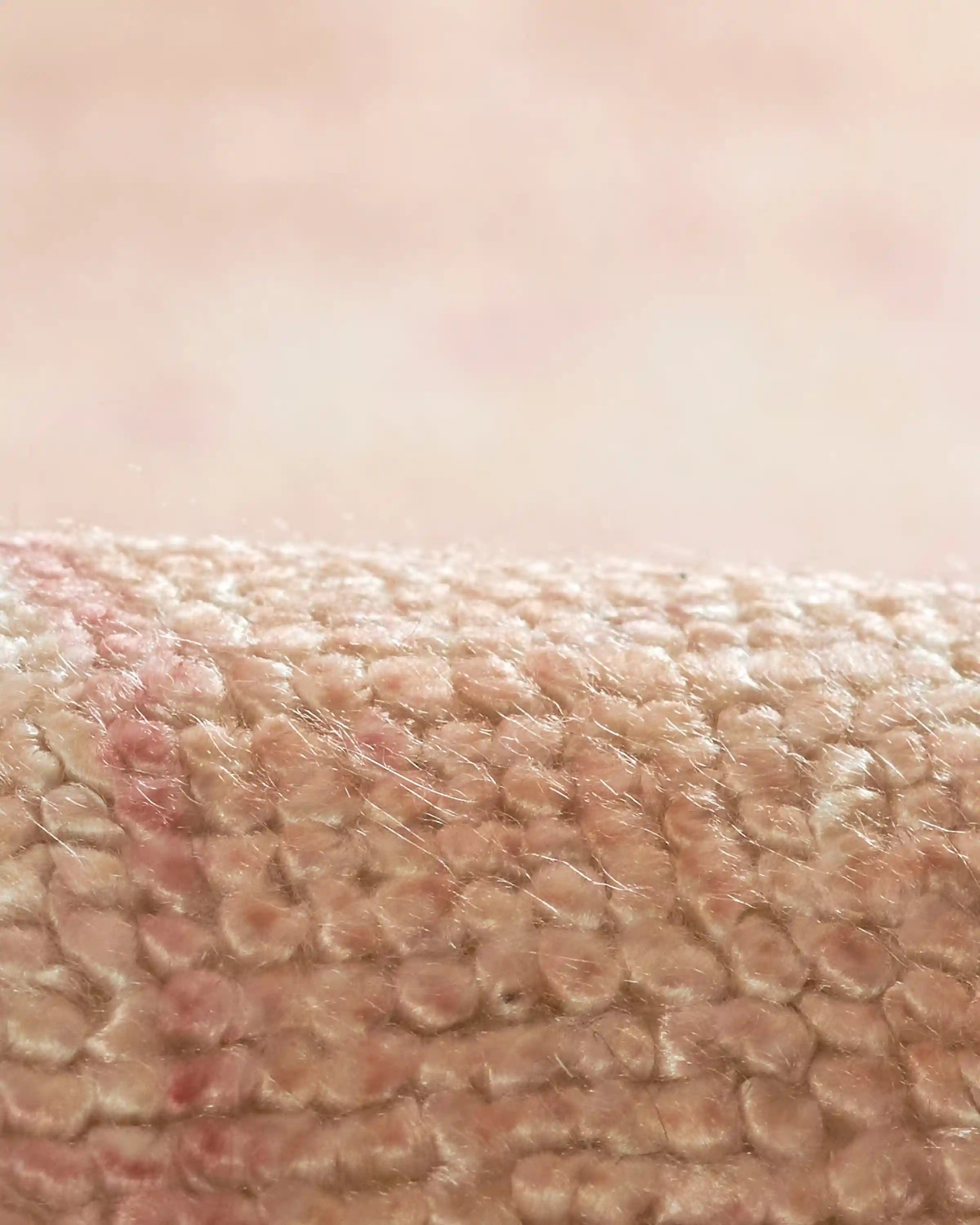 Arya Performance Rug