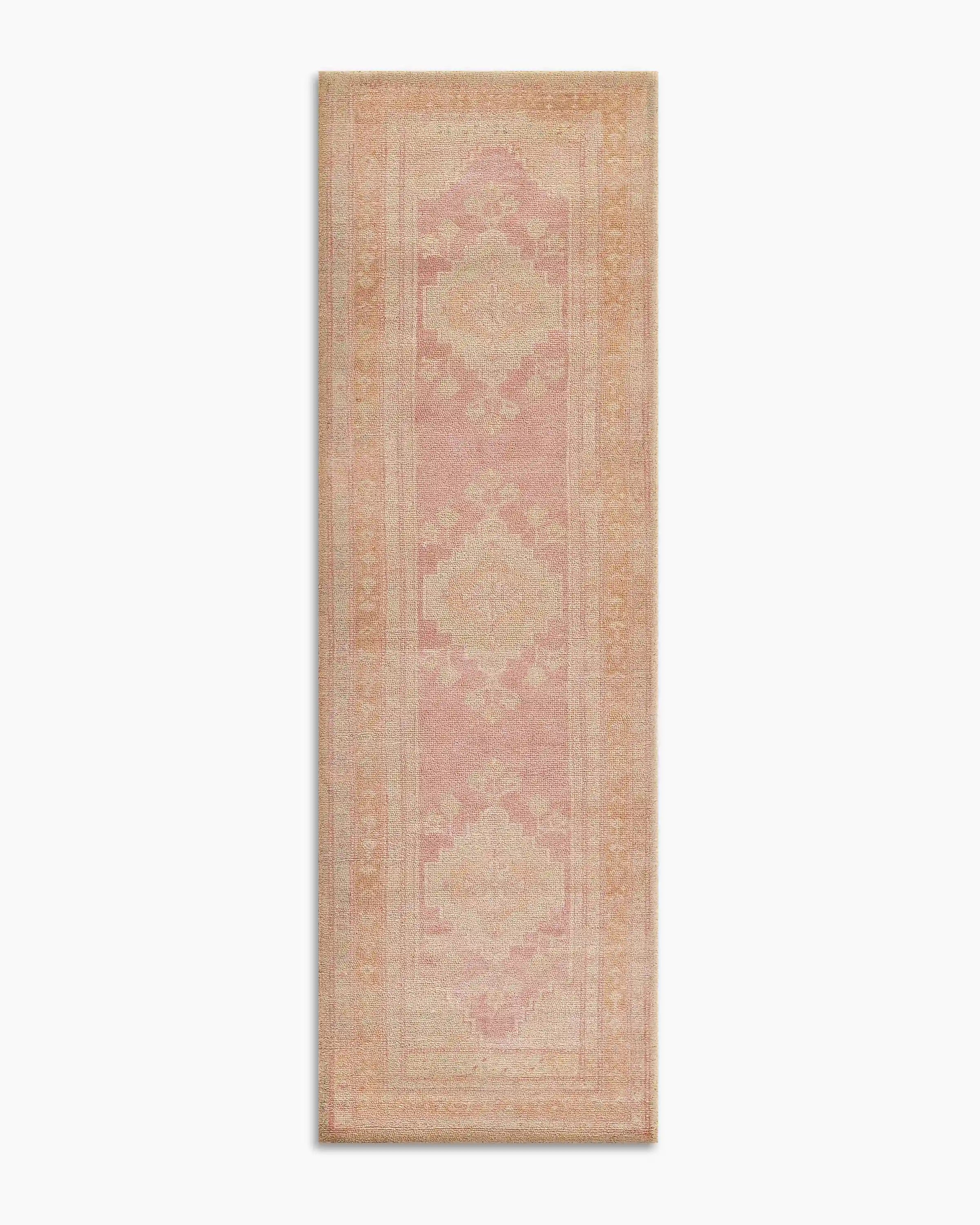 Arya Performance Rug