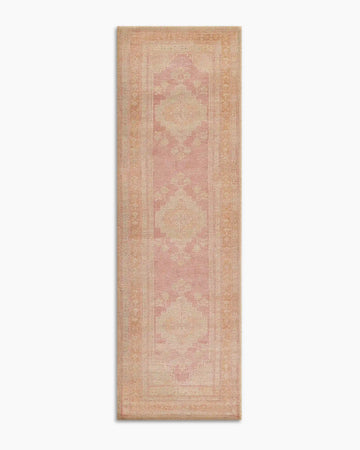 Arya Performance Rug