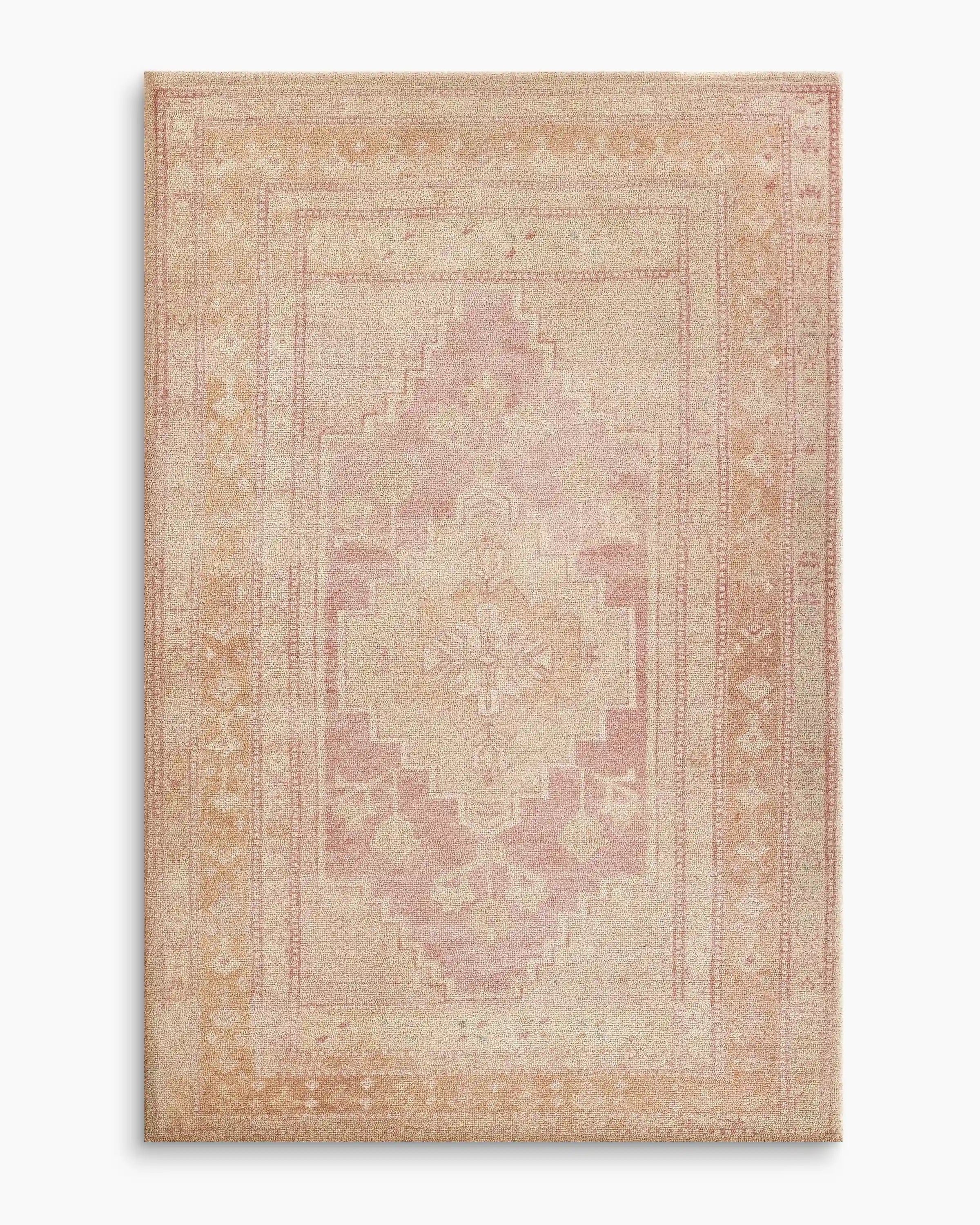 Arya Performance Rug