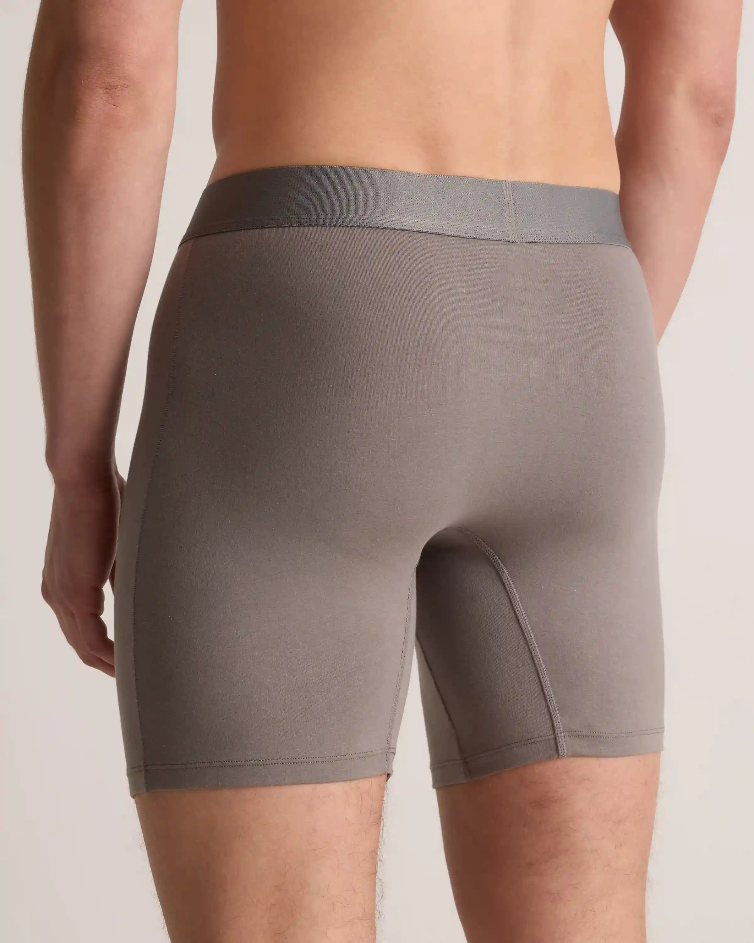 Organic Cotton 6'' Boxer Brief (3-pack)