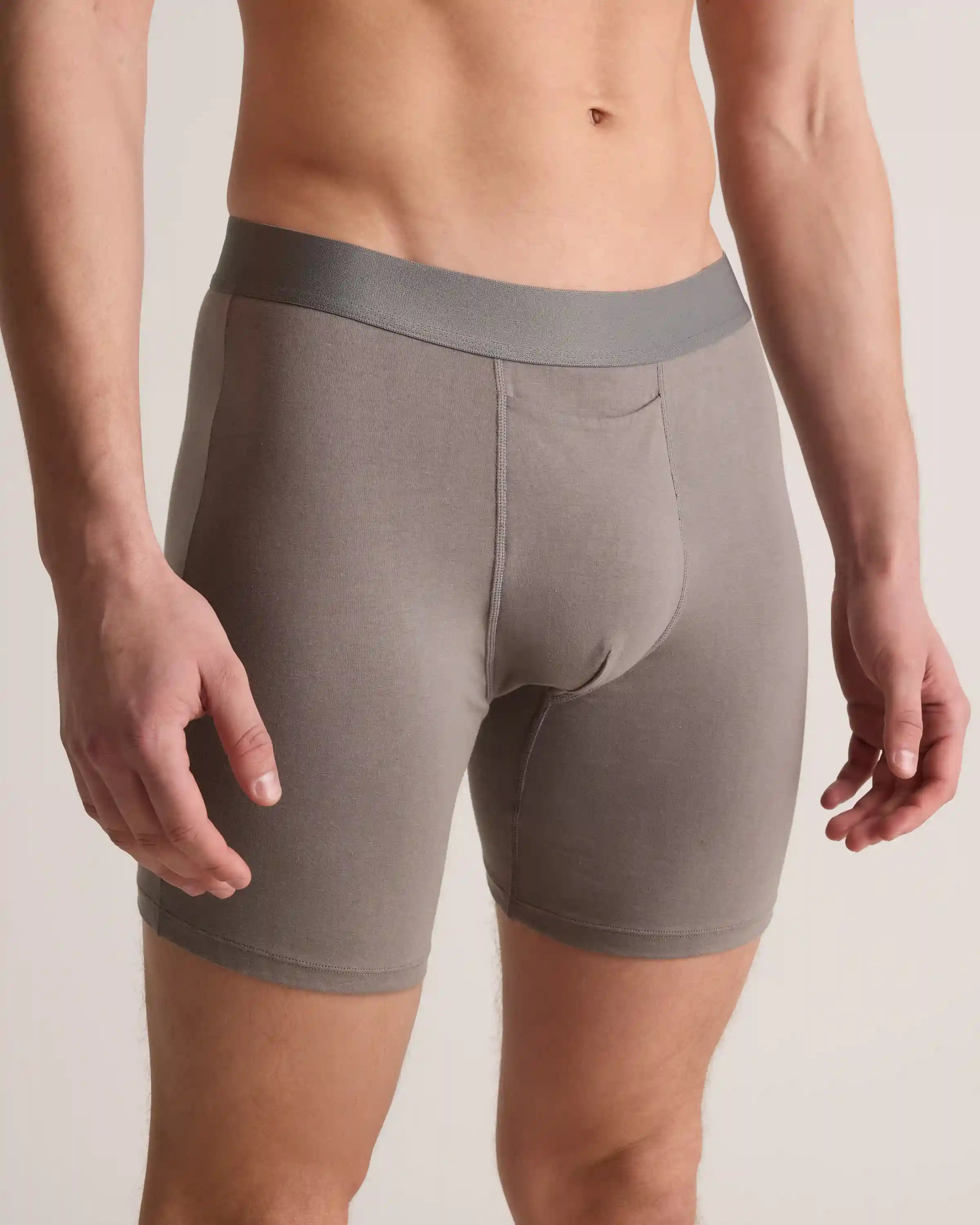 Organic Cotton 6'' Boxer Brief (3-pack)