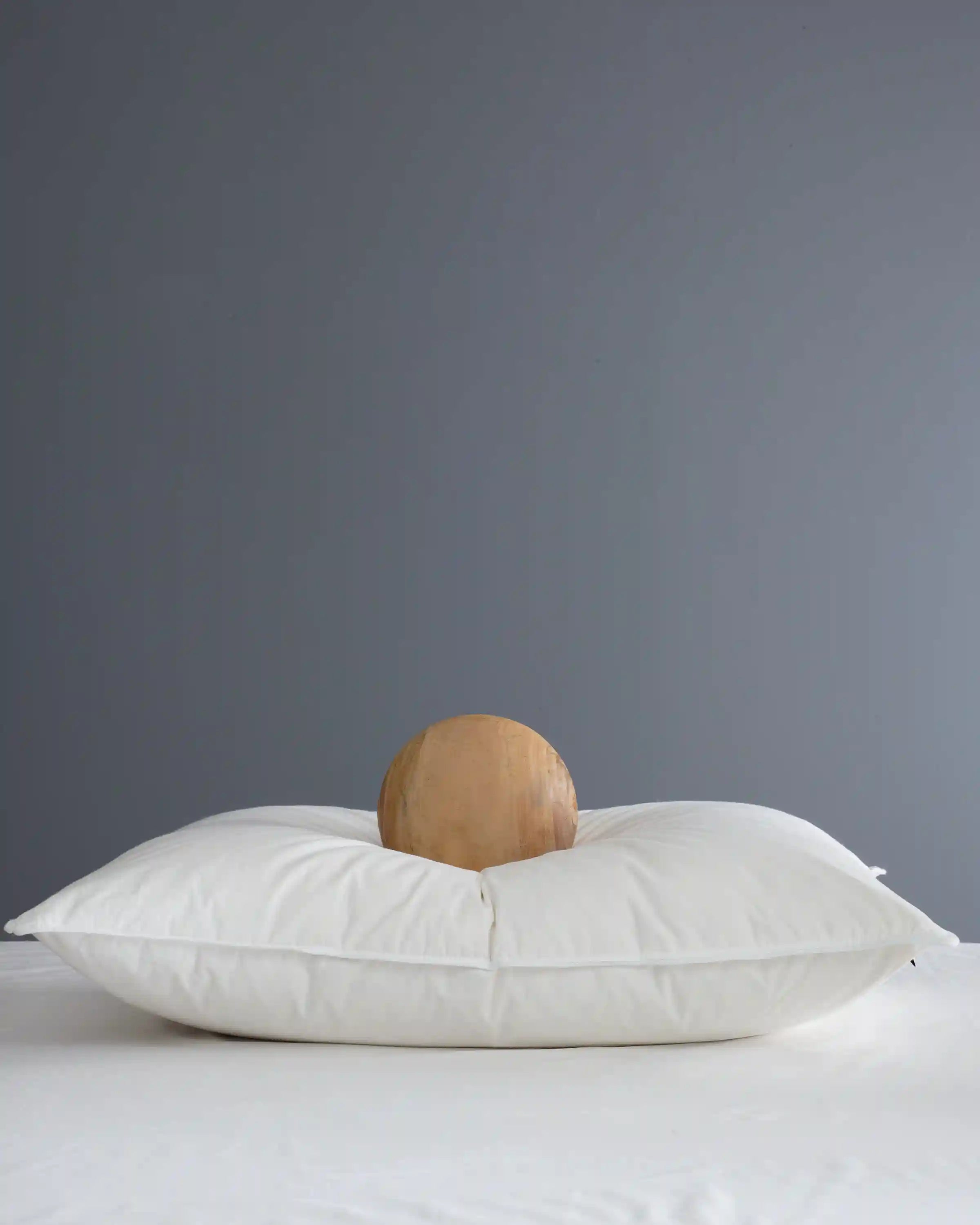 Luxe Goose Down Pillow