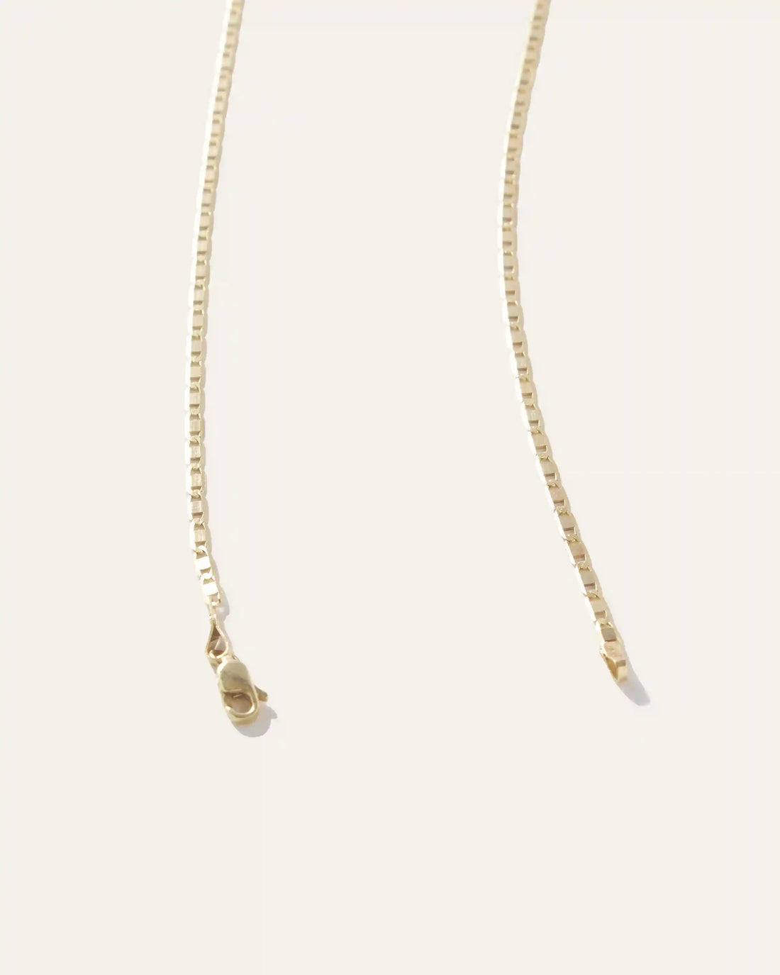 14K Gold Petite Valentino Chain Necklace