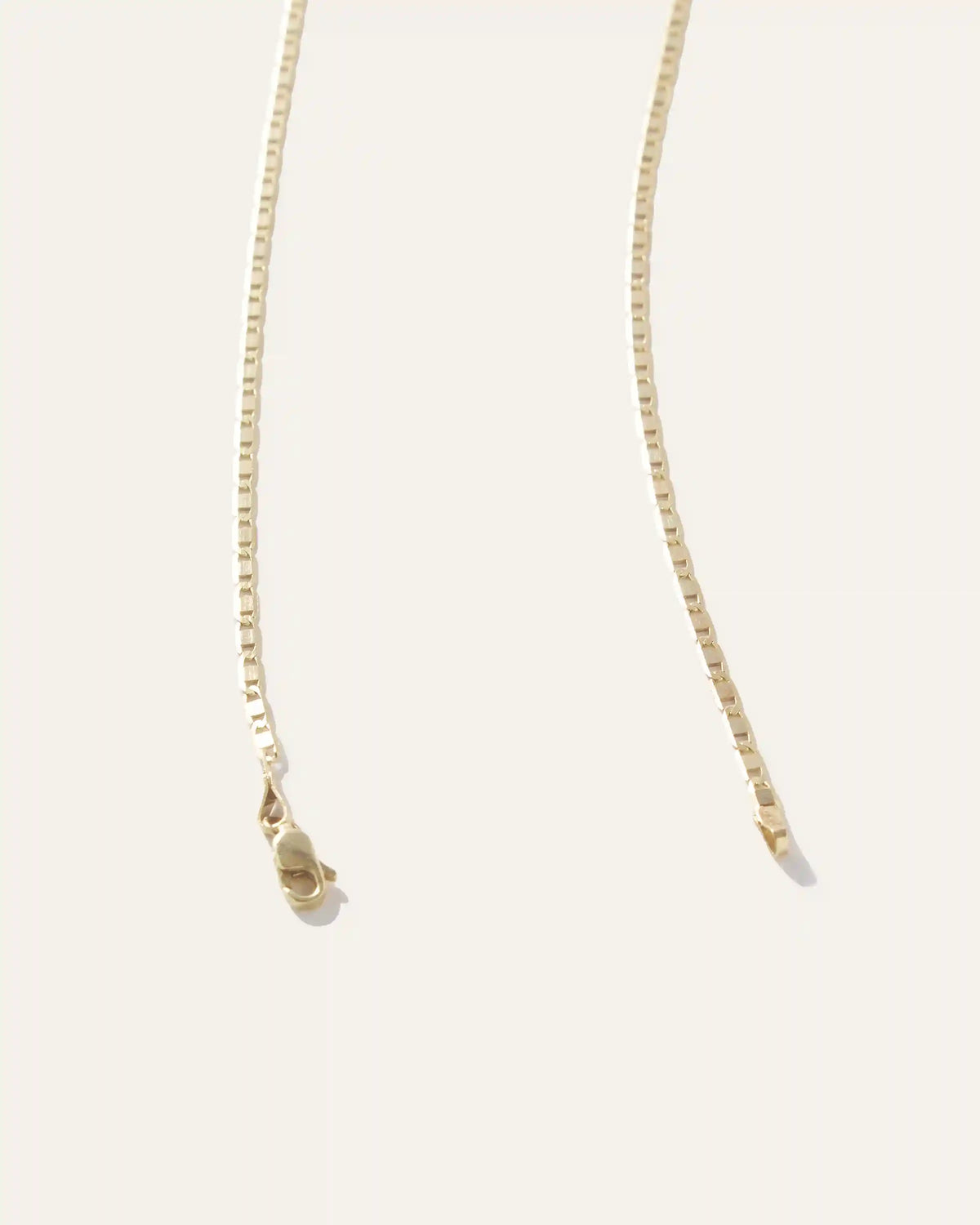 14K Gold Petite Valentino Chain Necklace