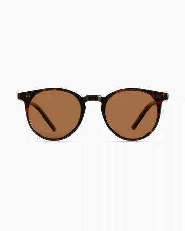 Noah Polarized Acetate Sunglasses