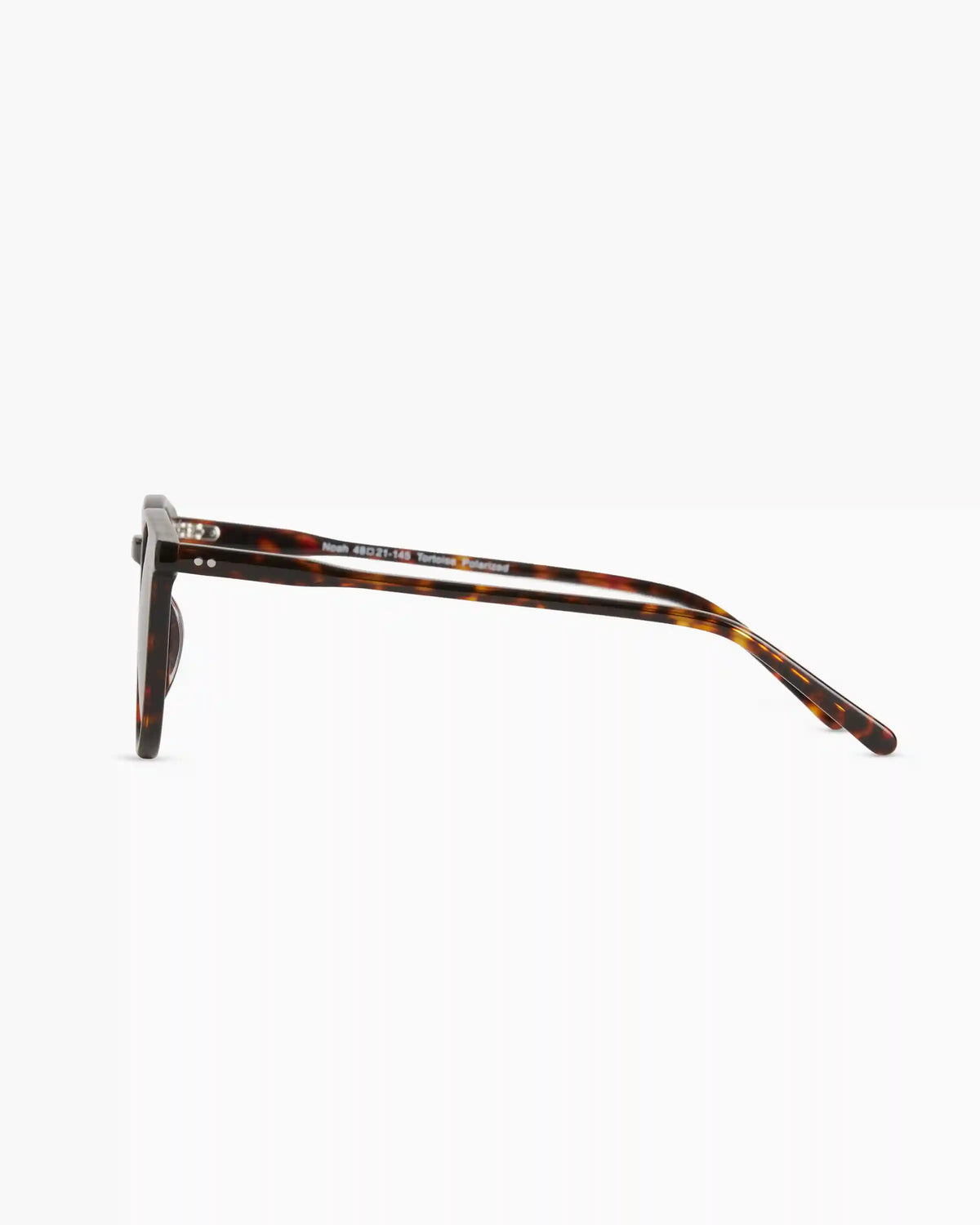 Noah Polarized Acetate Sunglasses