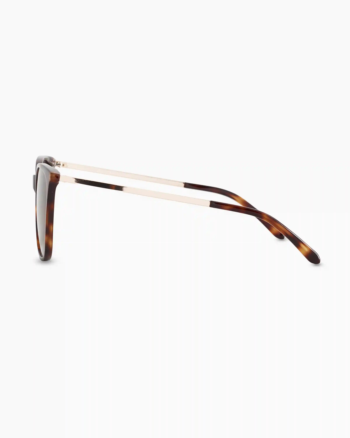 Poppy Polarized Acetate Sunglasses