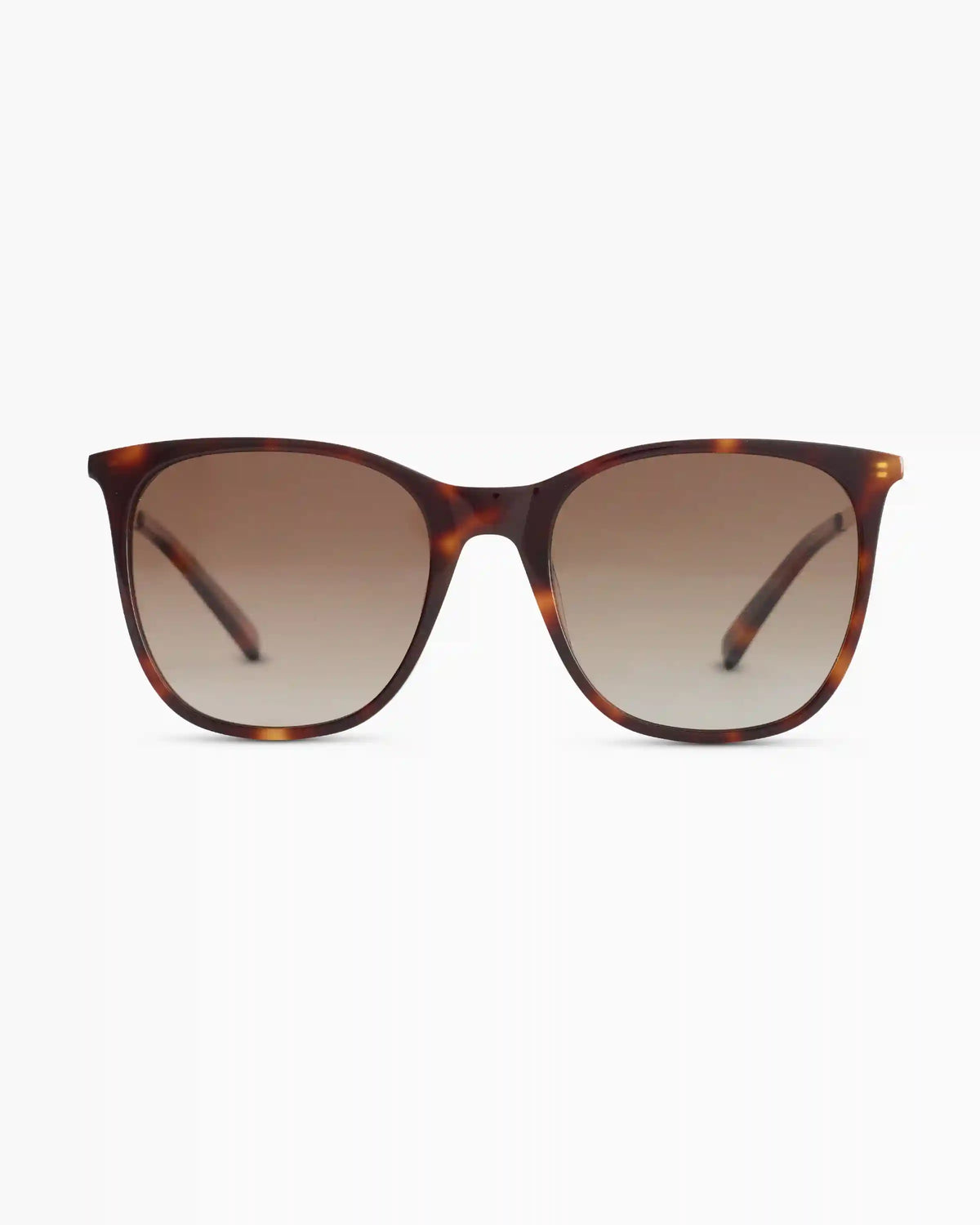 Poppy Polarized Acetate Sunglasses