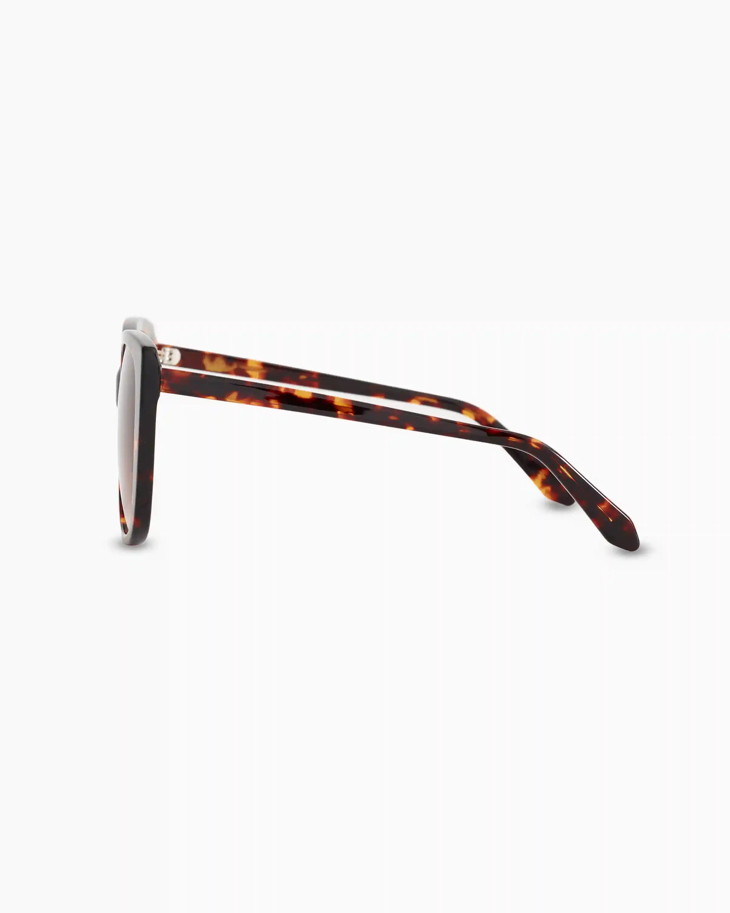 Reese Polarized Acetate Sunglasses