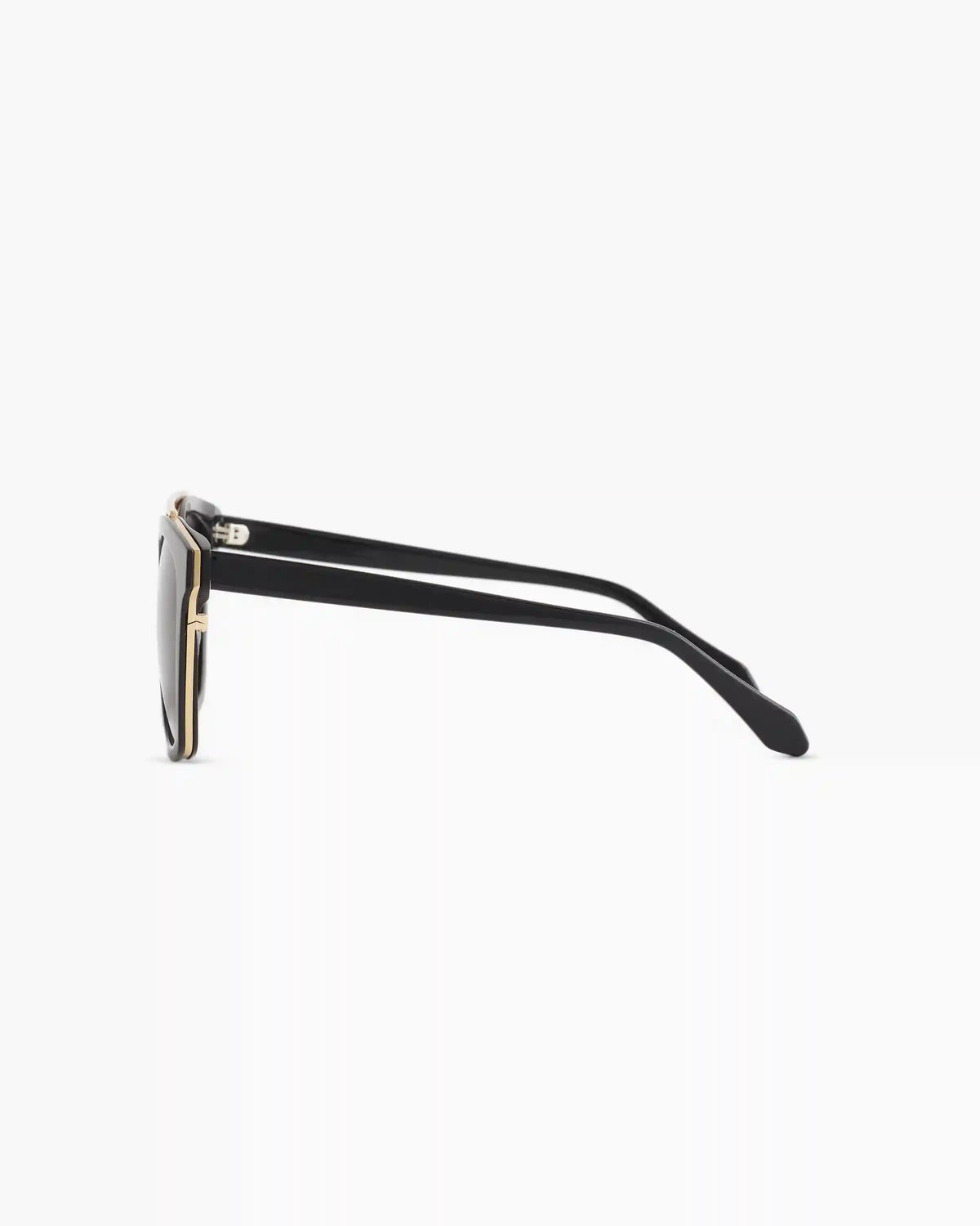 Remi Polarized Acetate Sunglasses