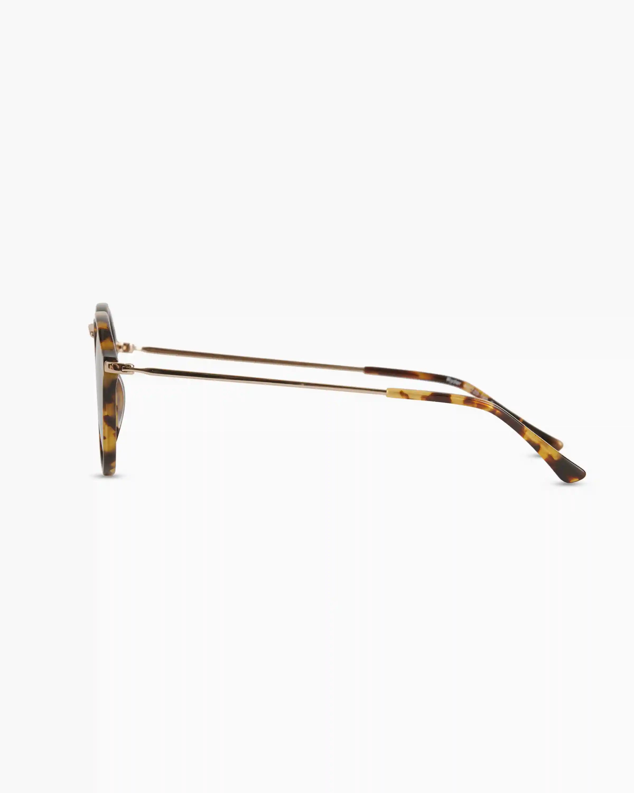 Ryder Polarized Acetate Sunglasses