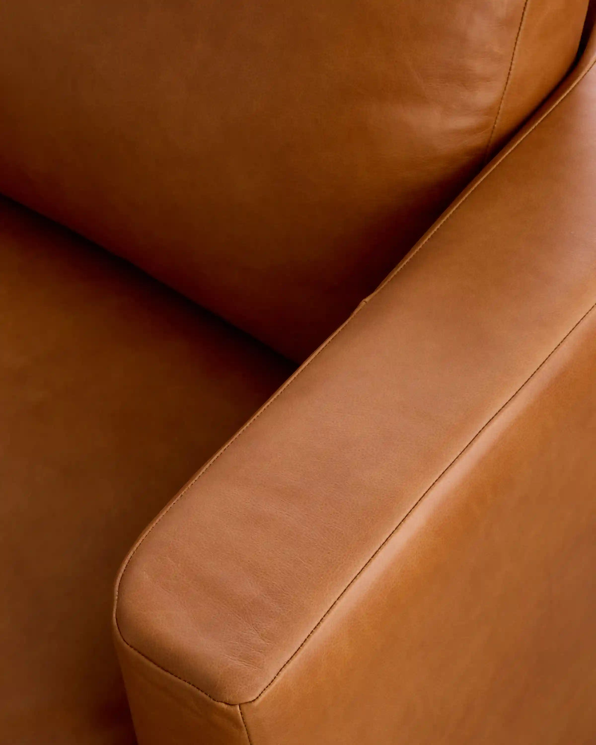 Sierra Curved Arm Sofa in Leather