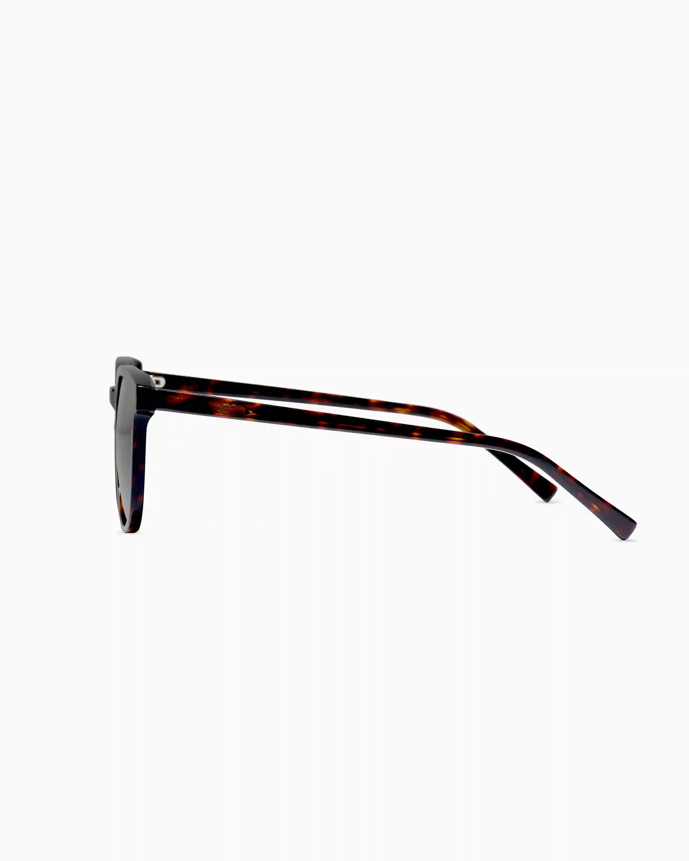 Charlie Polarized Acetate Sunglasses