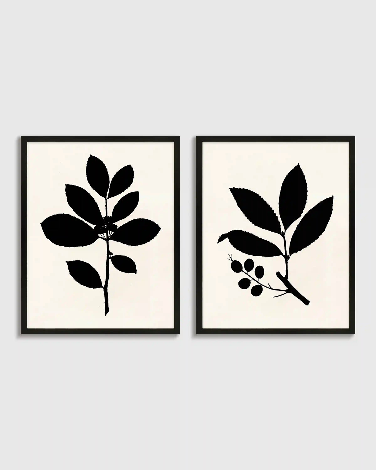Tea Tree, Cherry Laurel by Philippa Katz (Set of 2)