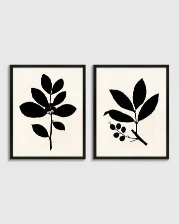Tea Tree, Cherry Laurel by Philippa Katz (Set of 2)