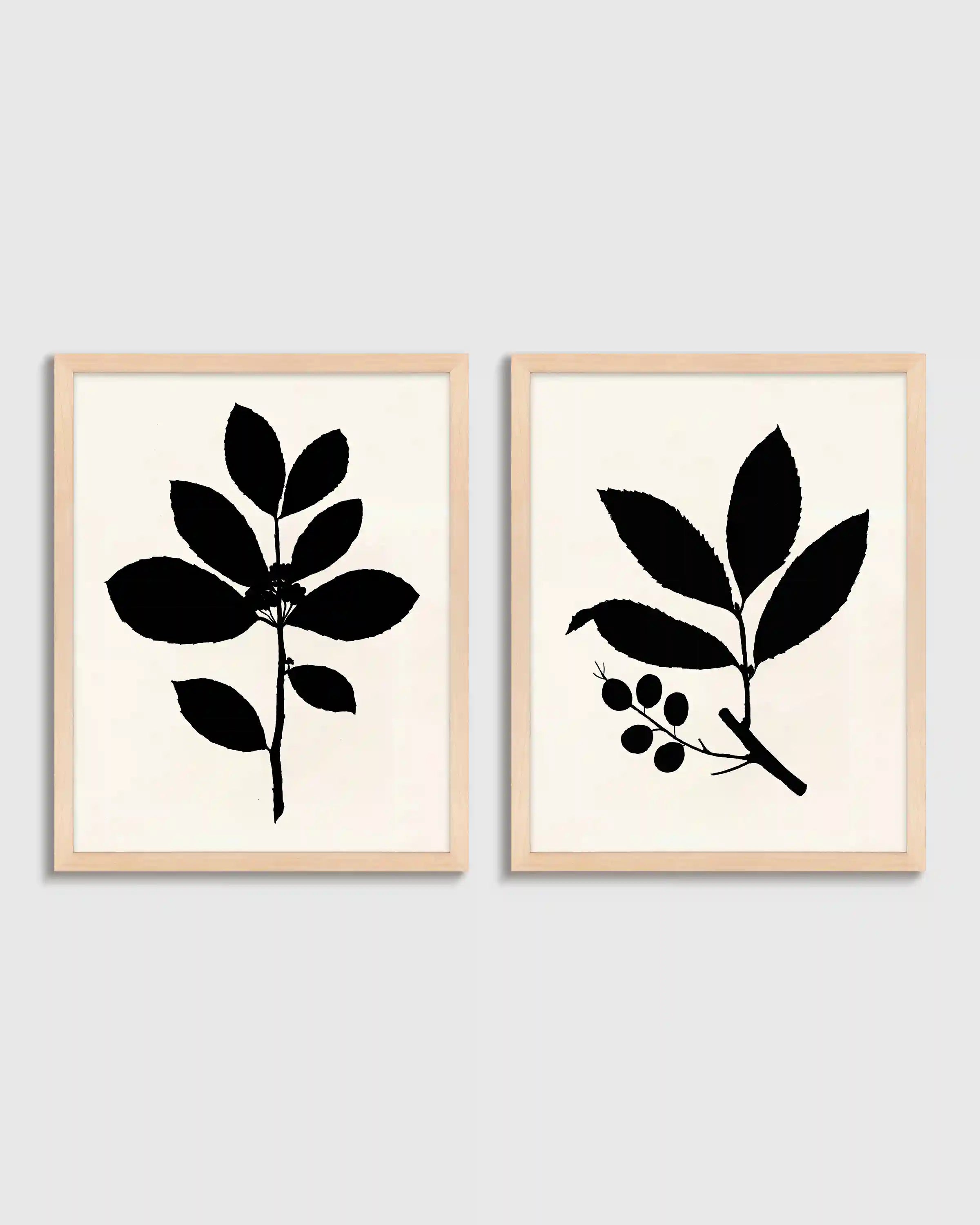 Tea Tree, Cherry Laurel by Philippa Katz (Set of 2)