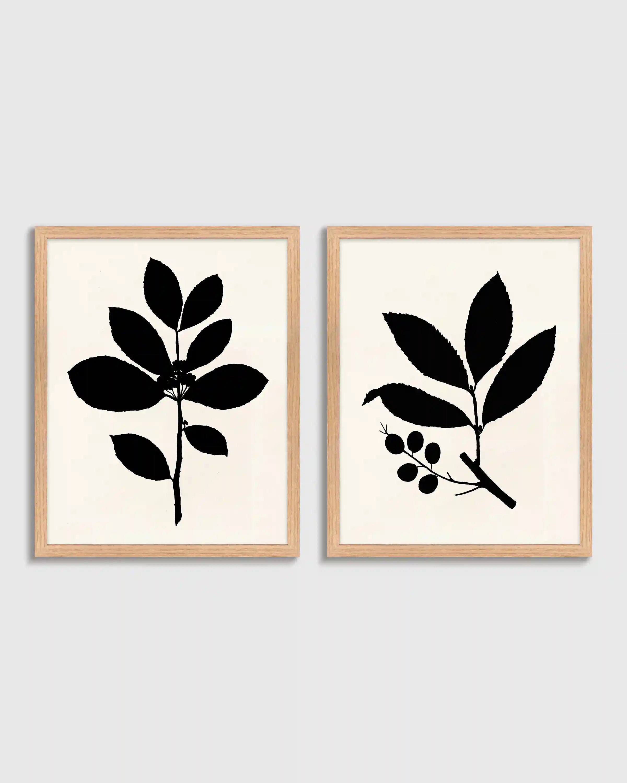 Tea Tree, Cherry Laurel by Philippa Katz (Set of 2)